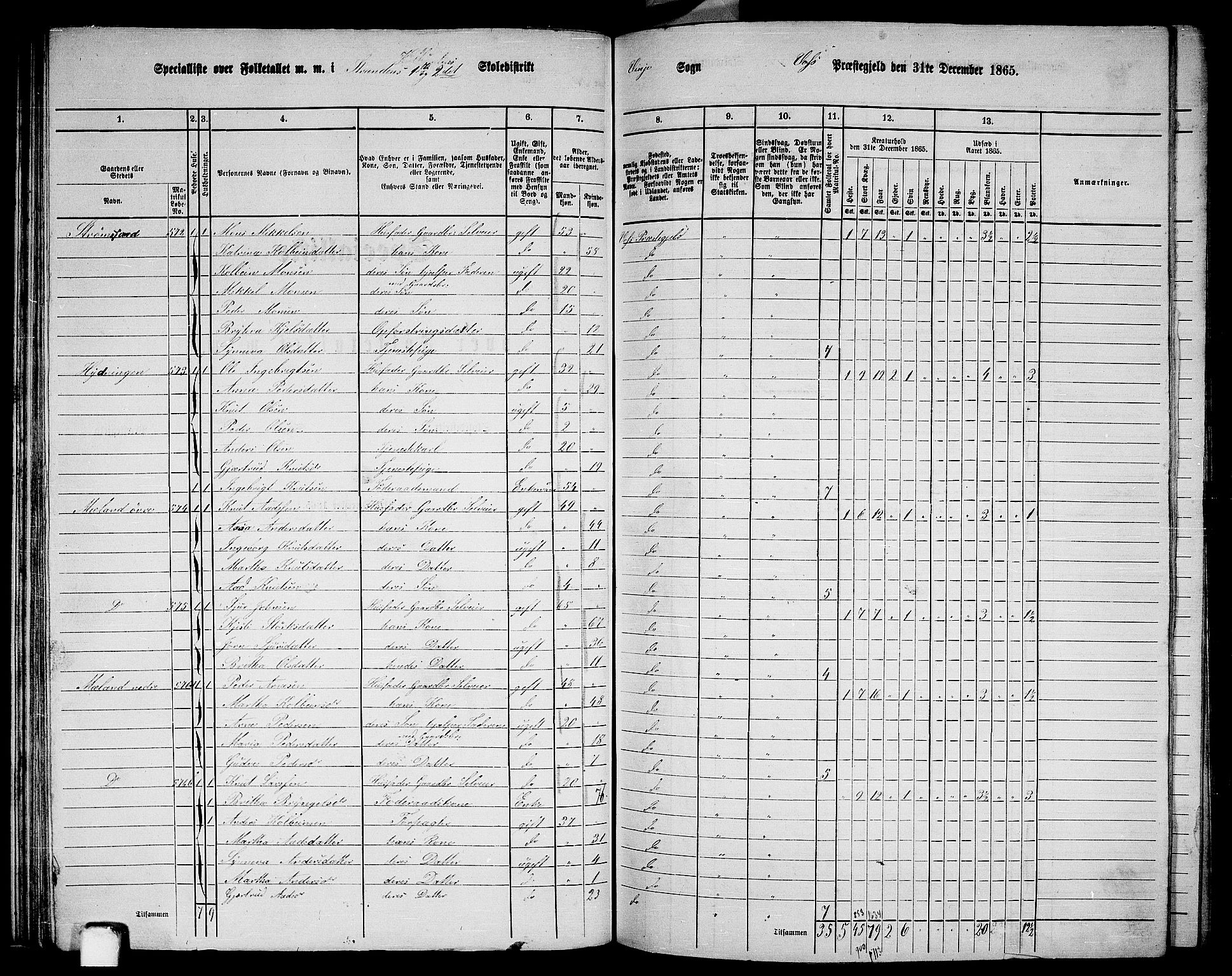 RA, 1865 census for Voss, 1865, p. 311