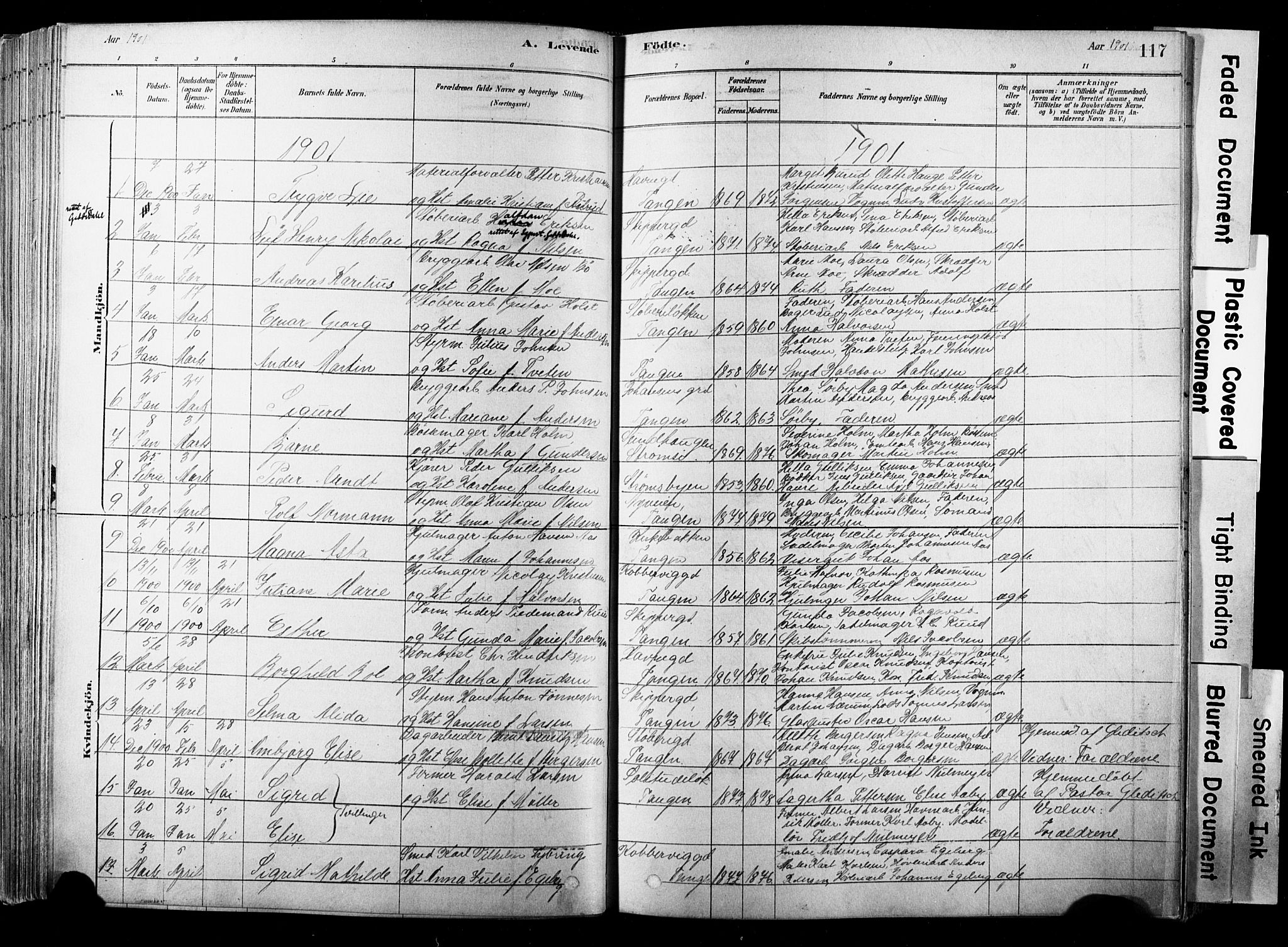 Strømsø kirkebøker, SAKO/A-246/F/Fb/L0006: Parish register (official) no. II 6, 1879-1910, p. 117