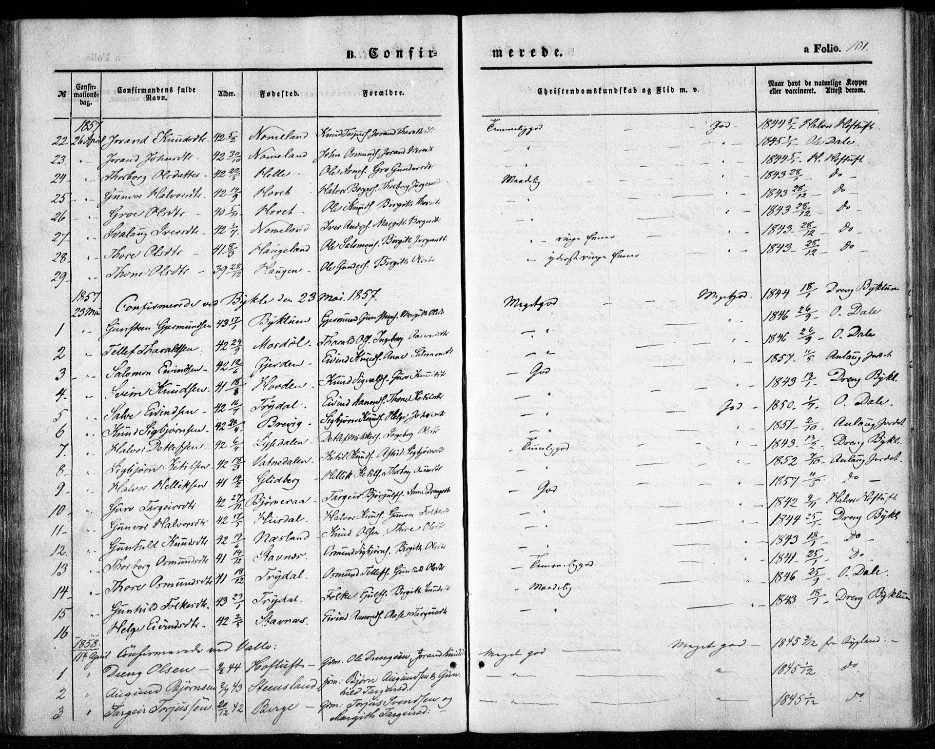 Valle sokneprestkontor, SAK/1111-0044/F/Fa/Fac/L0007: Parish register (official) no. A 7, 1854-1868, p. 101