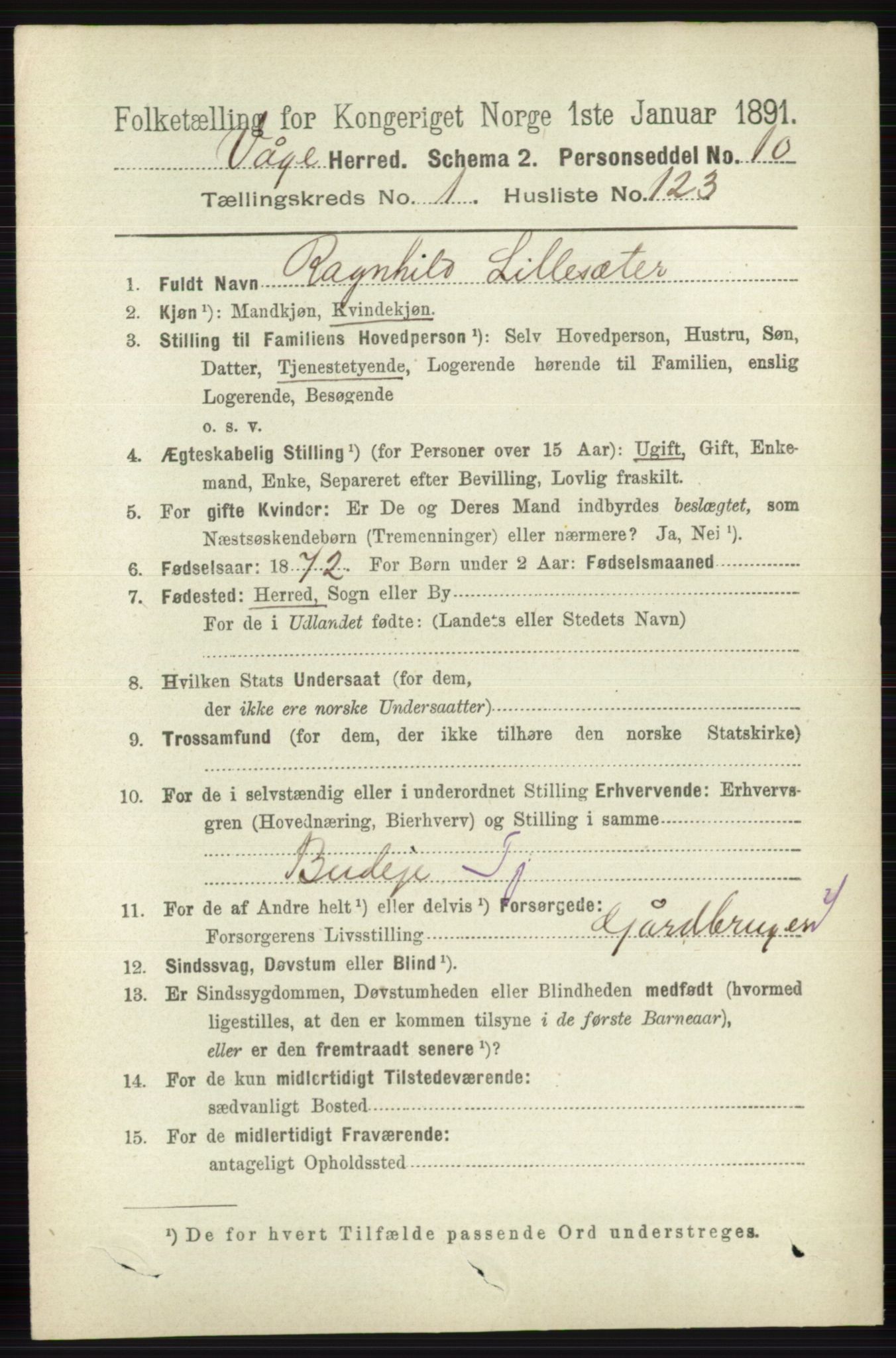 RA, 1891 census for 0515 Vågå, 1891, p. 938