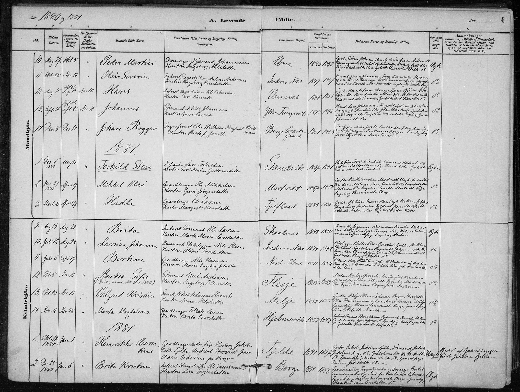 Skånevik sokneprestembete, AV/SAB-A-77801/H/Haa: Parish register (official) no. B 1, 1879-1914, p. 4