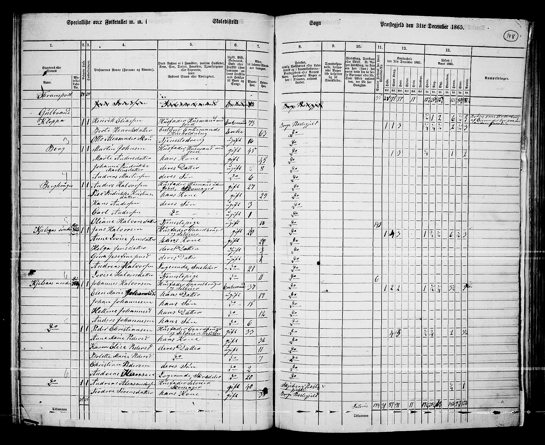 RA, 1865 census for Borge, 1865, p. 133