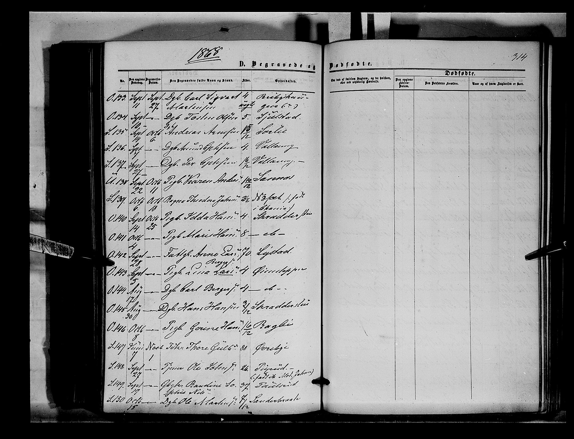 Sør-Odal prestekontor, AV/SAH-PREST-030/H/Ha/Haa/L0003: Parish register (official) no. 3, 1864-1870, p. 314