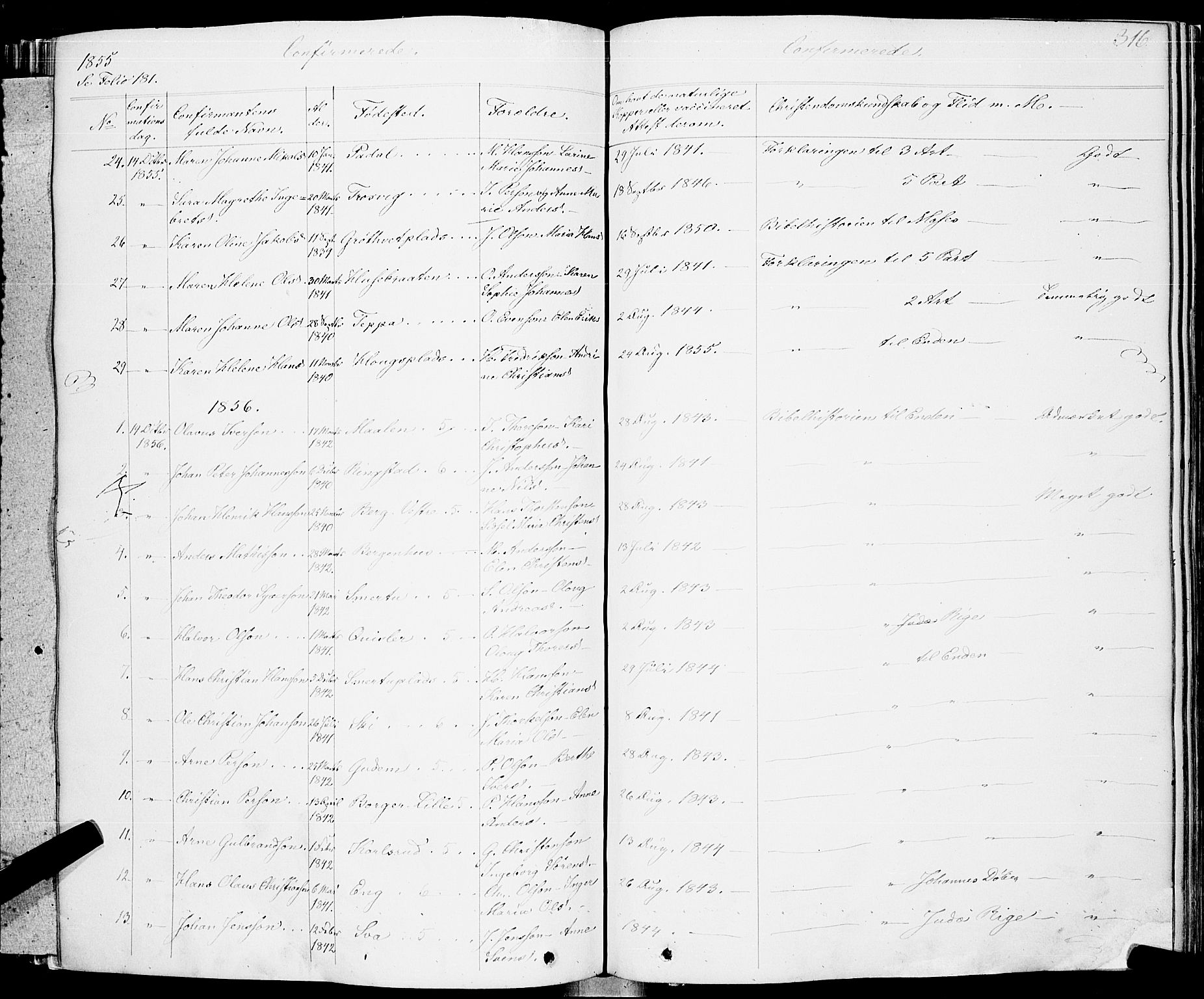 Skiptvet prestekontor Kirkebøker, AV/SAO-A-20009/F/Fa/L0006: Parish register (official) no. 6, 1839-1860, p. 316