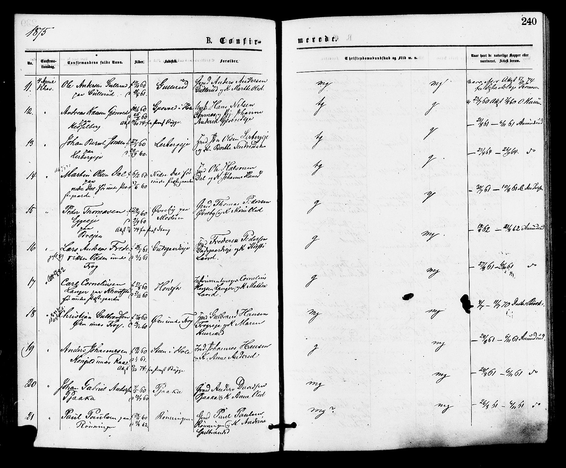 Norderhov kirkebøker, SAKO/A-237/F/Fa/L0015: Parish register (official) no. 15, 1875-1884, p. 240