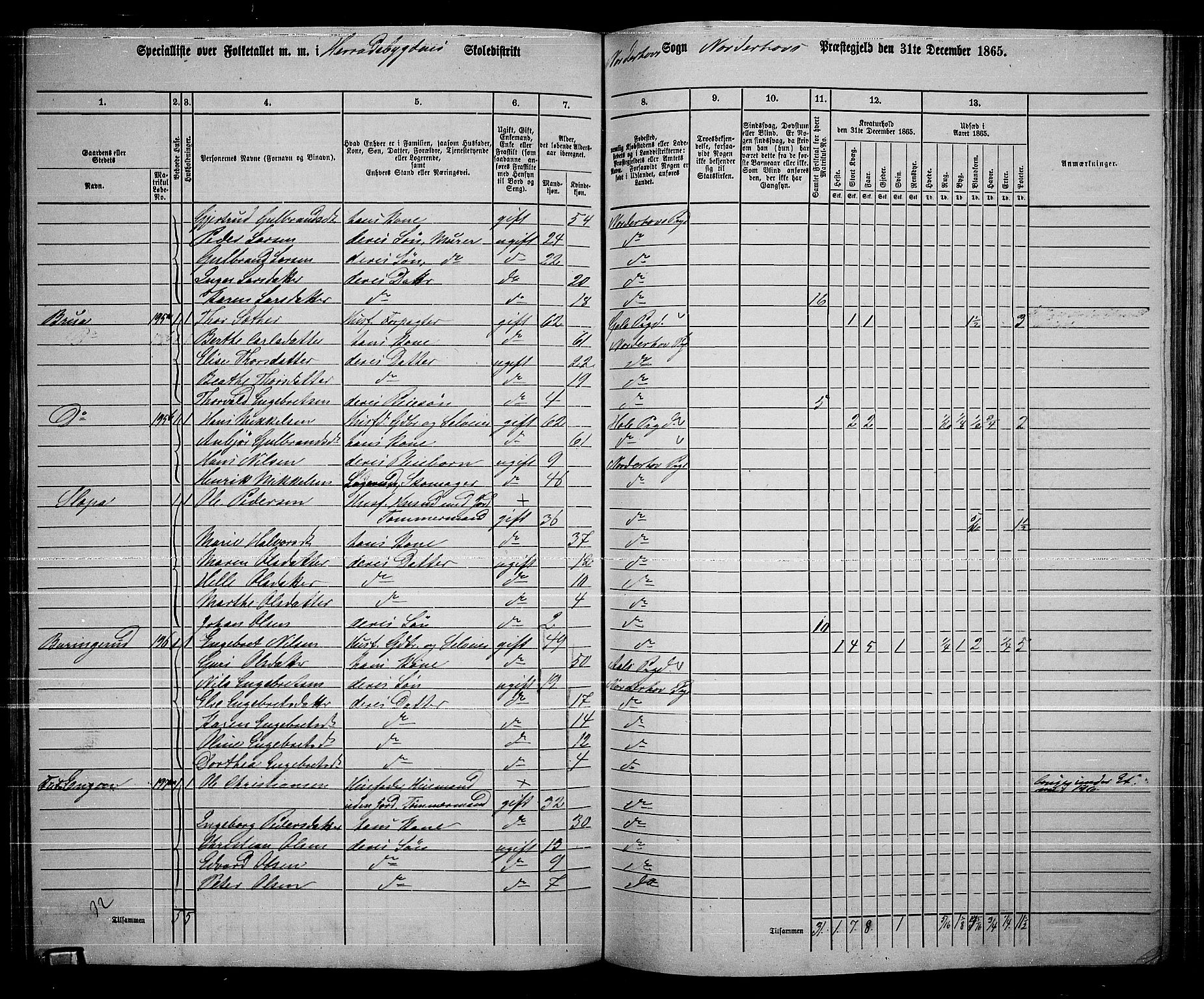 RA, 1865 census for Norderhov/Norderhov, Haug og Lunder, 1865, p. 182