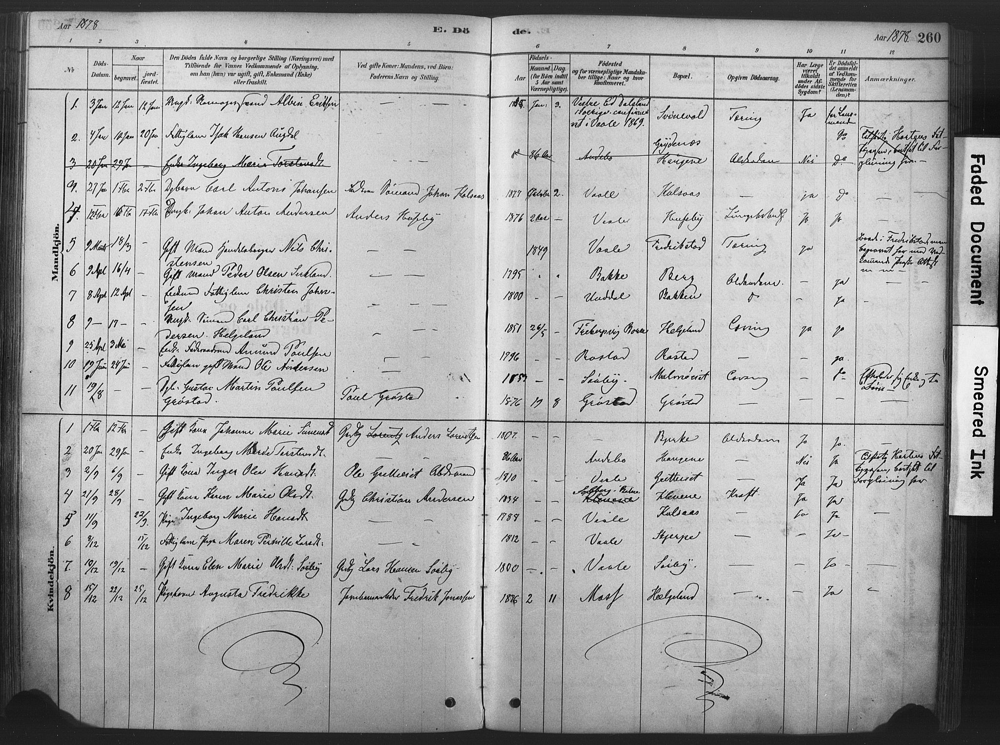 Våle kirkebøker, AV/SAKO-A-334/F/Fa/L0011: Parish register (official) no. I 11, 1878-1906, p. 260