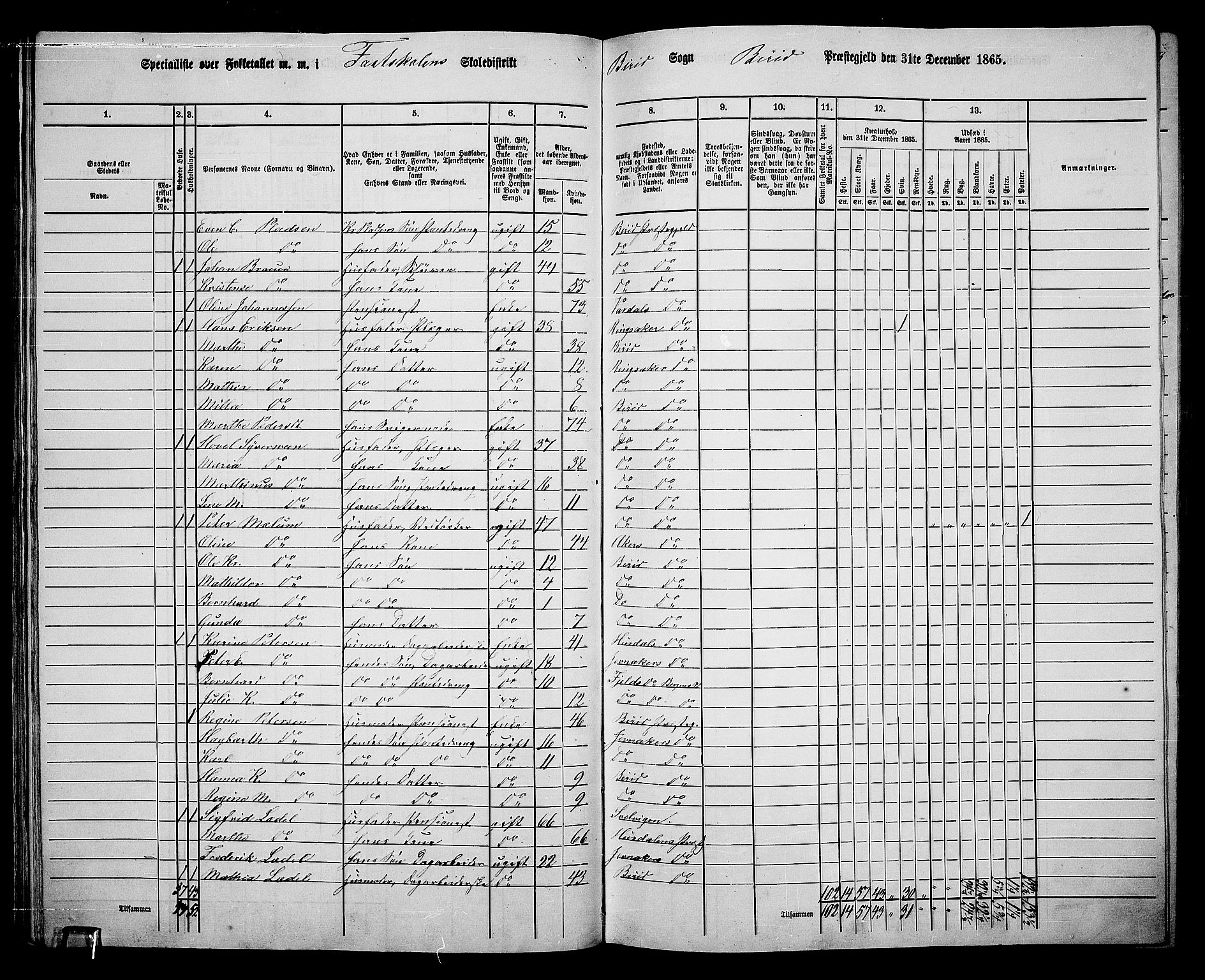 RA, 1865 census for Biri, 1865, p. 48