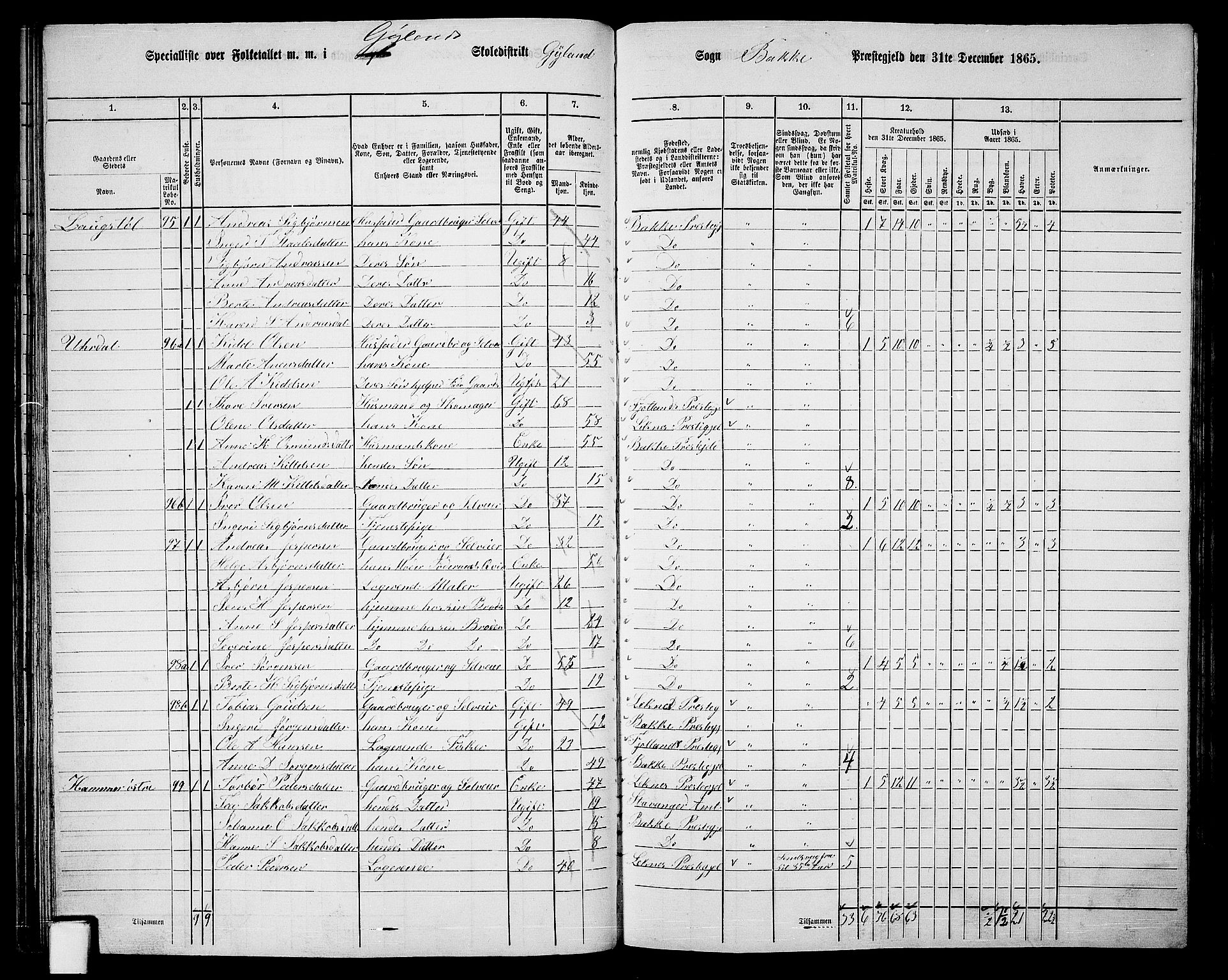 RA, 1865 census for Bakke, 1865, p. 42