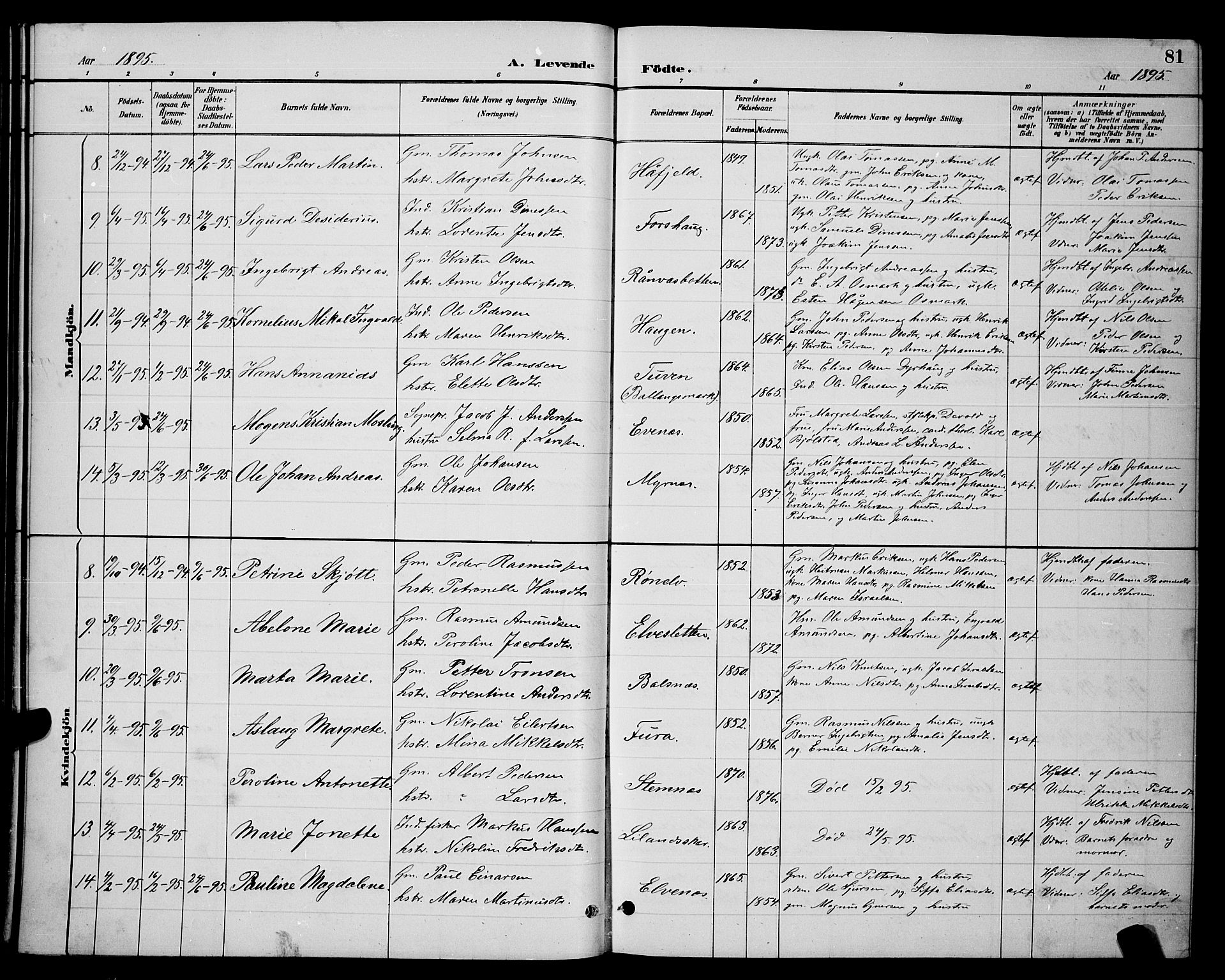 Ministerialprotokoller, klokkerbøker og fødselsregistre - Nordland, SAT/A-1459/863/L0914: Parish register (copy) no. 863C04, 1886-1897, p. 81