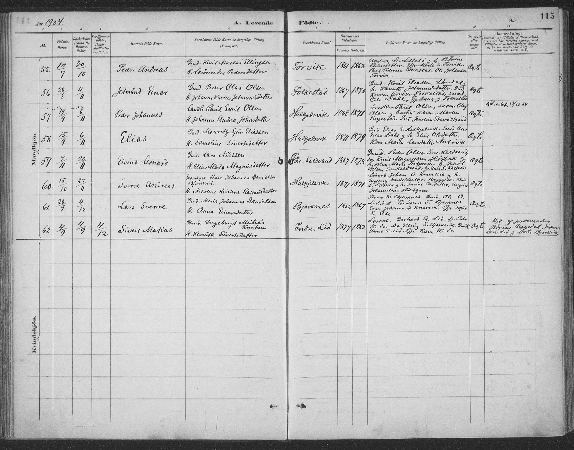 Ministerialprotokoller, klokkerbøker og fødselsregistre - Møre og Romsdal, AV/SAT-A-1454/511/L0142: Parish register (official) no. 511A09, 1891-1905, p. 115