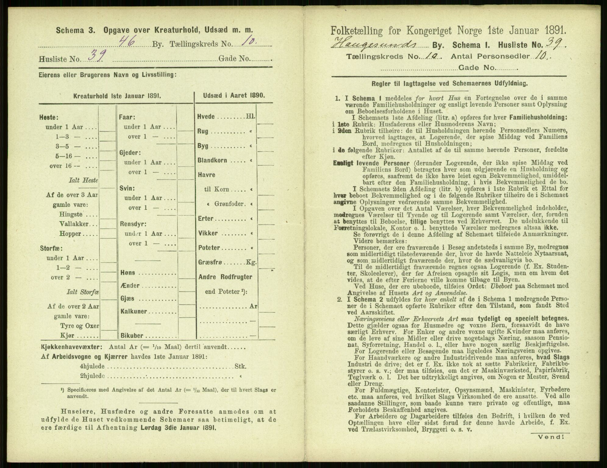 RA, 1891 census for 1106 Haugesund, 1891, p. 760