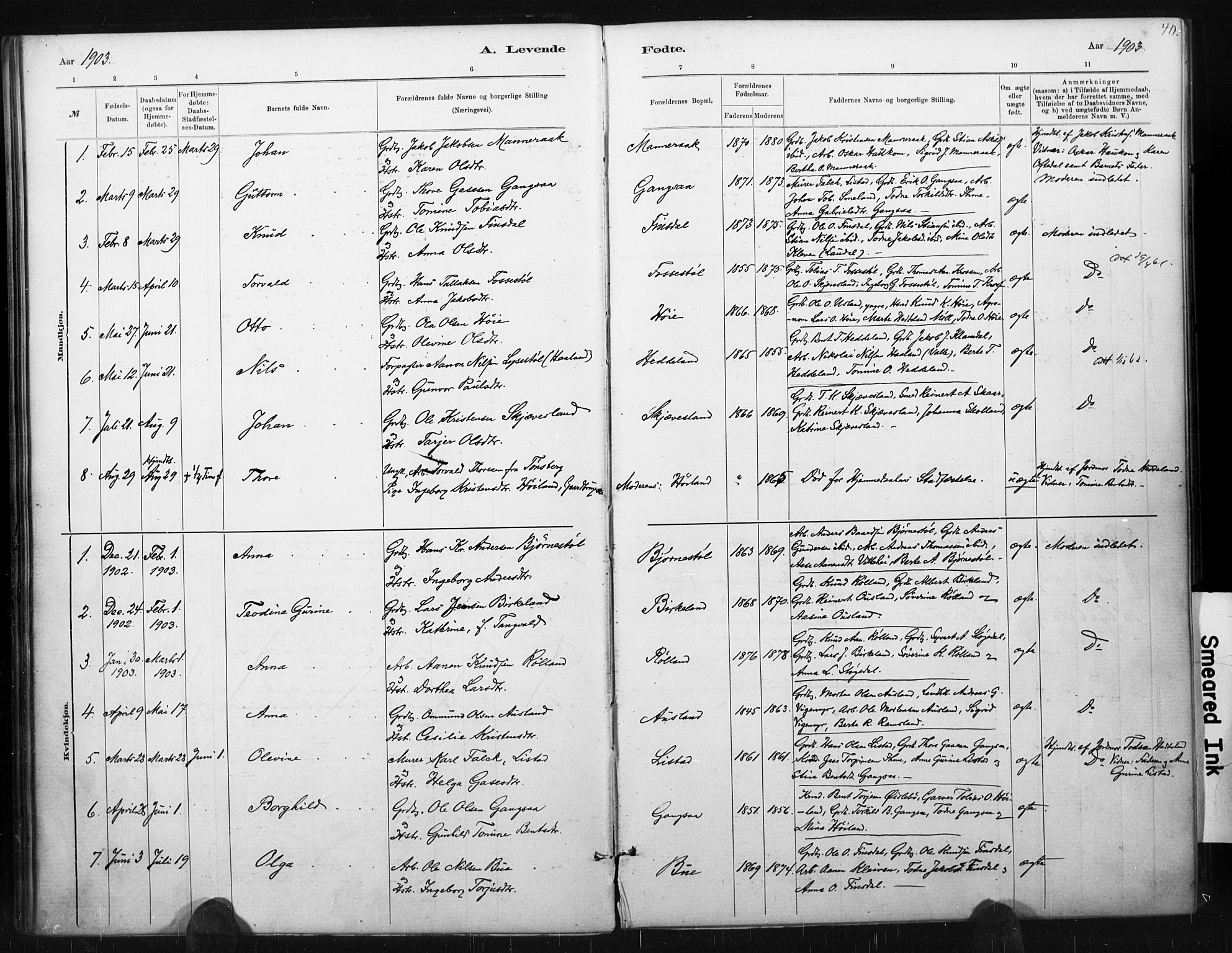 Holum sokneprestkontor, SAK/1111-0022/F/Fa/Fac/L0004: Parish register (official) no. A 4, 1884-1907, p. 40