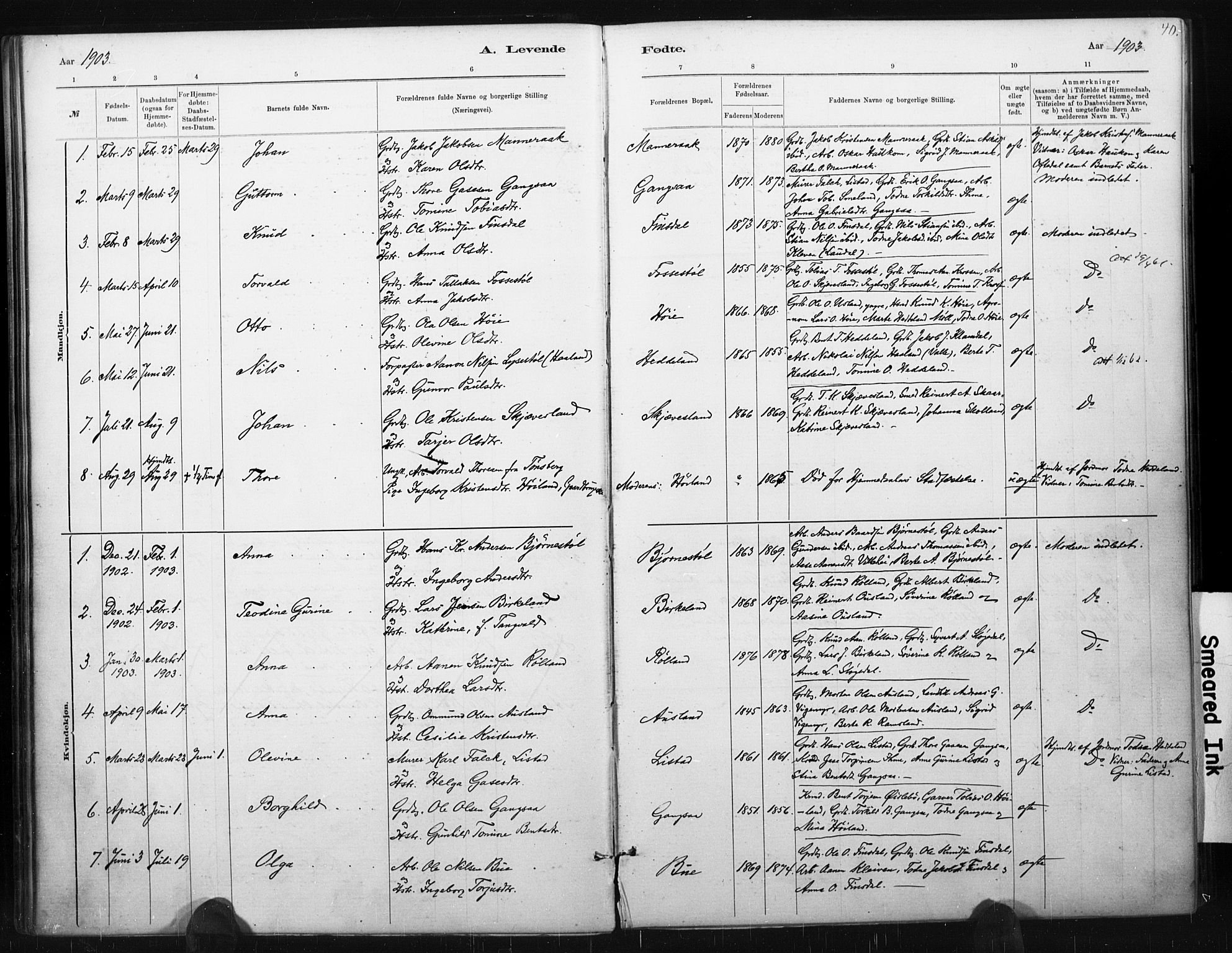 Holum sokneprestkontor, AV/SAK-1111-0022/F/Fa/Fac/L0004: Parish register (official) no. A 4, 1884-1907, p. 40