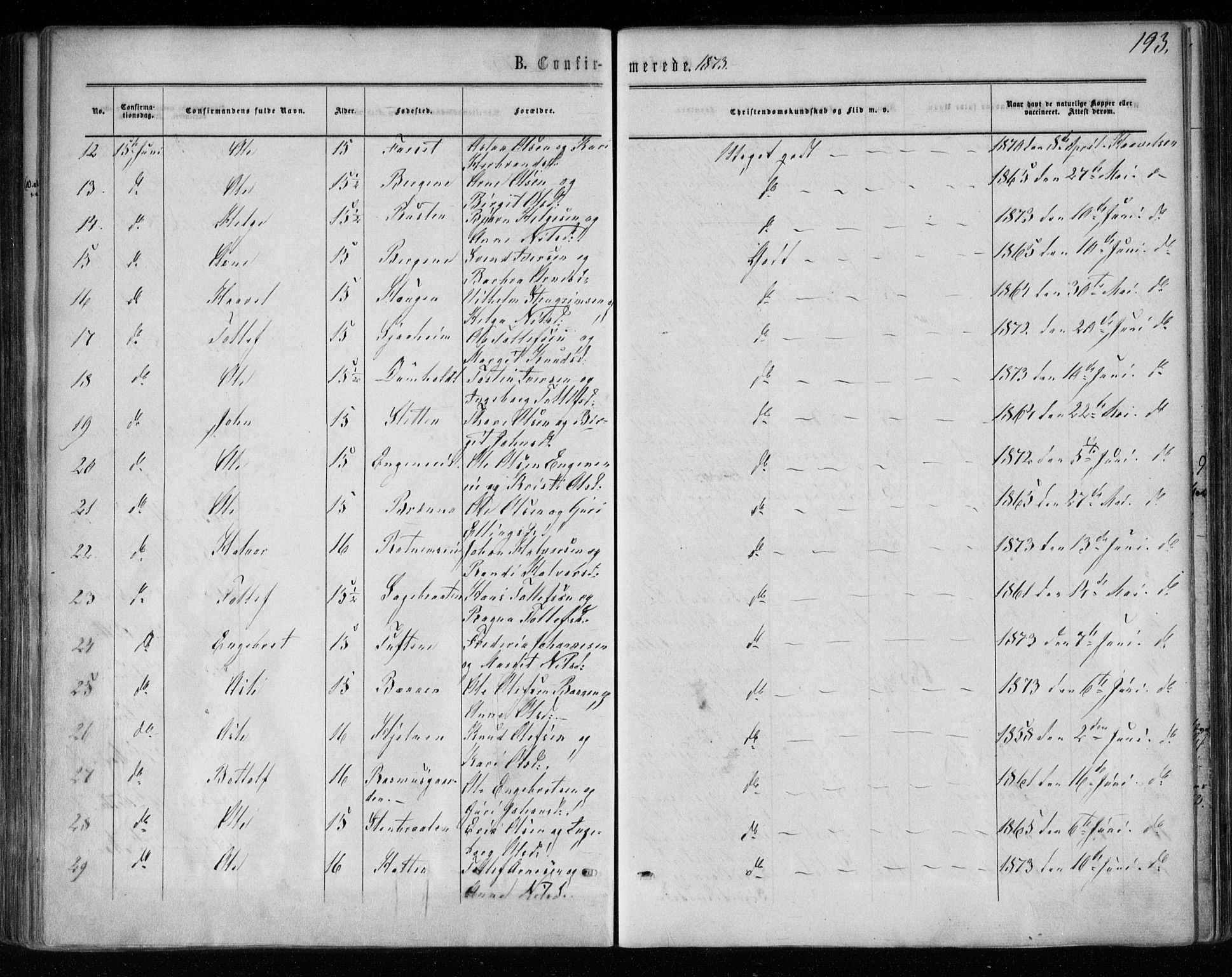 Gol kirkebøker, AV/SAKO-A-226/F/Fa/L0003: Parish register (official) no. I 3, 1863-1875, p. 193