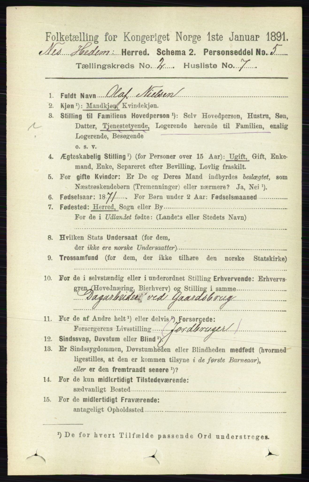 RA, 1891 census for 0411 Nes, 1891, p. 1113