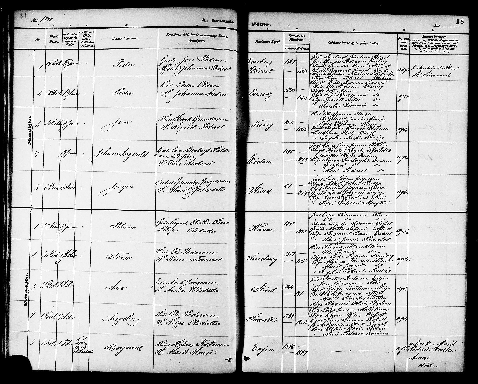 Ministerialprotokoller, klokkerbøker og fødselsregistre - Sør-Trøndelag, AV/SAT-A-1456/695/L1157: Parish register (copy) no. 695C08, 1889-1913, p. 18