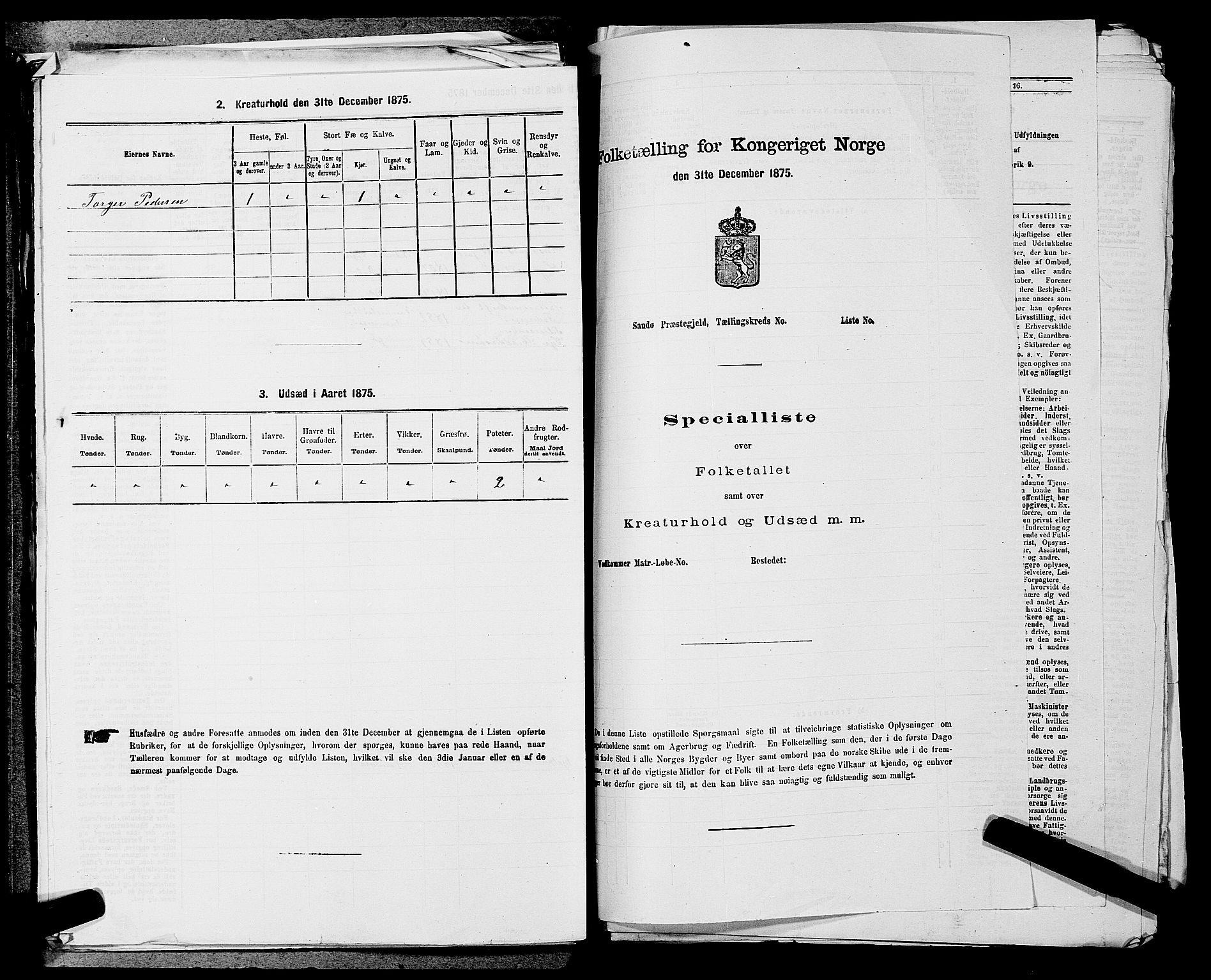 RA, 1875 census for 0238P Nannestad, 1875, p. 997