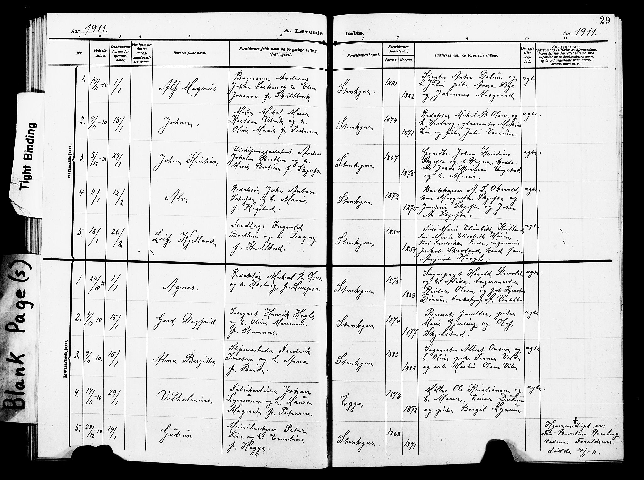 Ministerialprotokoller, klokkerbøker og fødselsregistre - Nord-Trøndelag, SAT/A-1458/739/L0376: Parish register (copy) no. 739C04, 1908-1917, p. 29