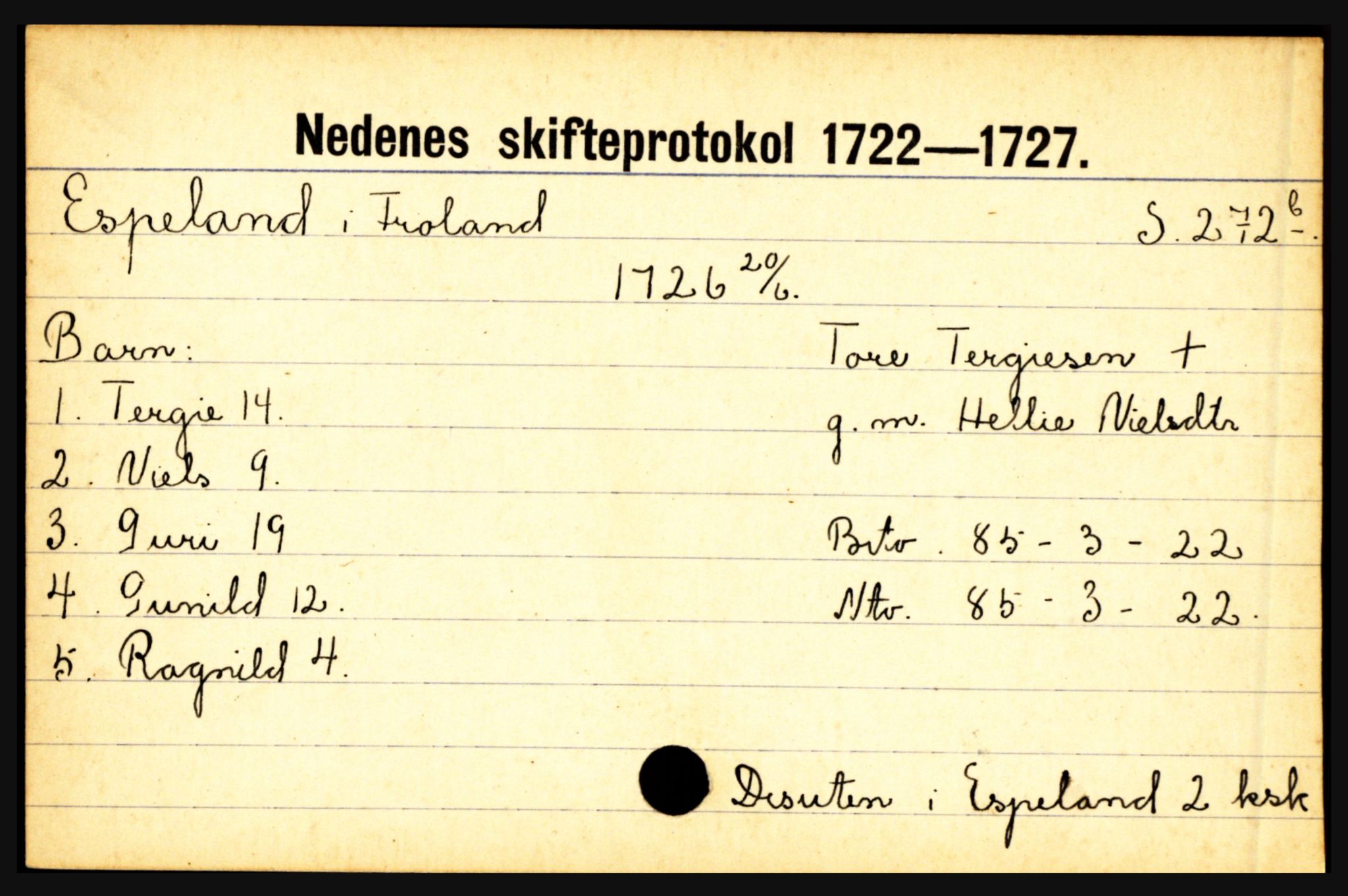 Nedenes sorenskriveri før 1824, AV/SAK-1221-0007/H, p. 6355