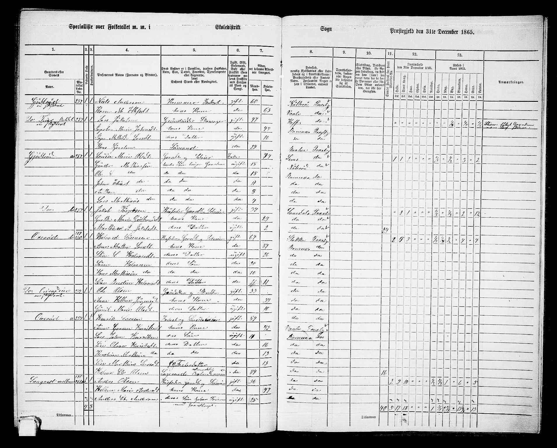 RA, 1865 census for Ramnes, 1865, p. 124