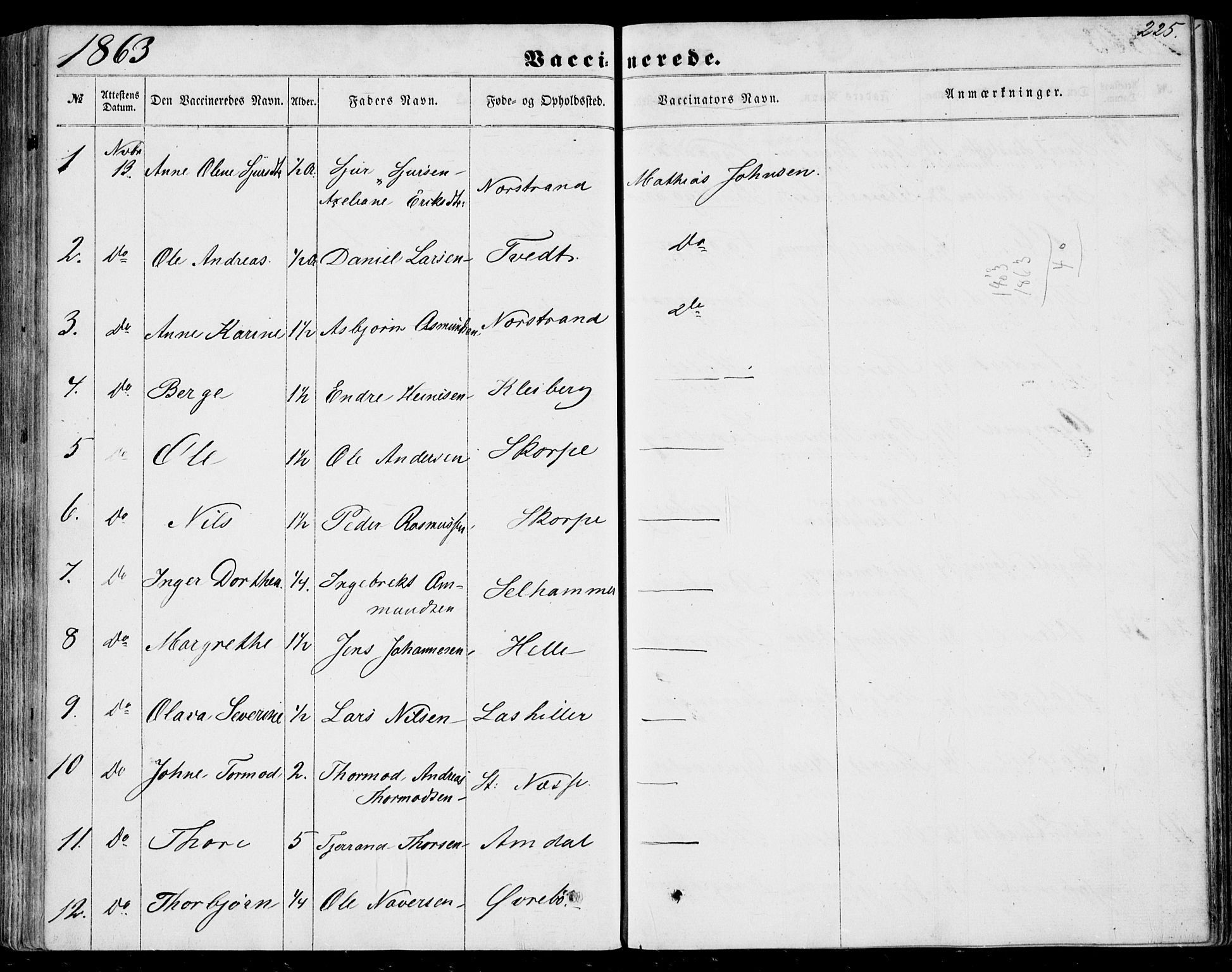 Nedstrand sokneprestkontor, SAST/A-101841/01/IV: Parish register (official) no. A 9, 1861-1876, p. 225