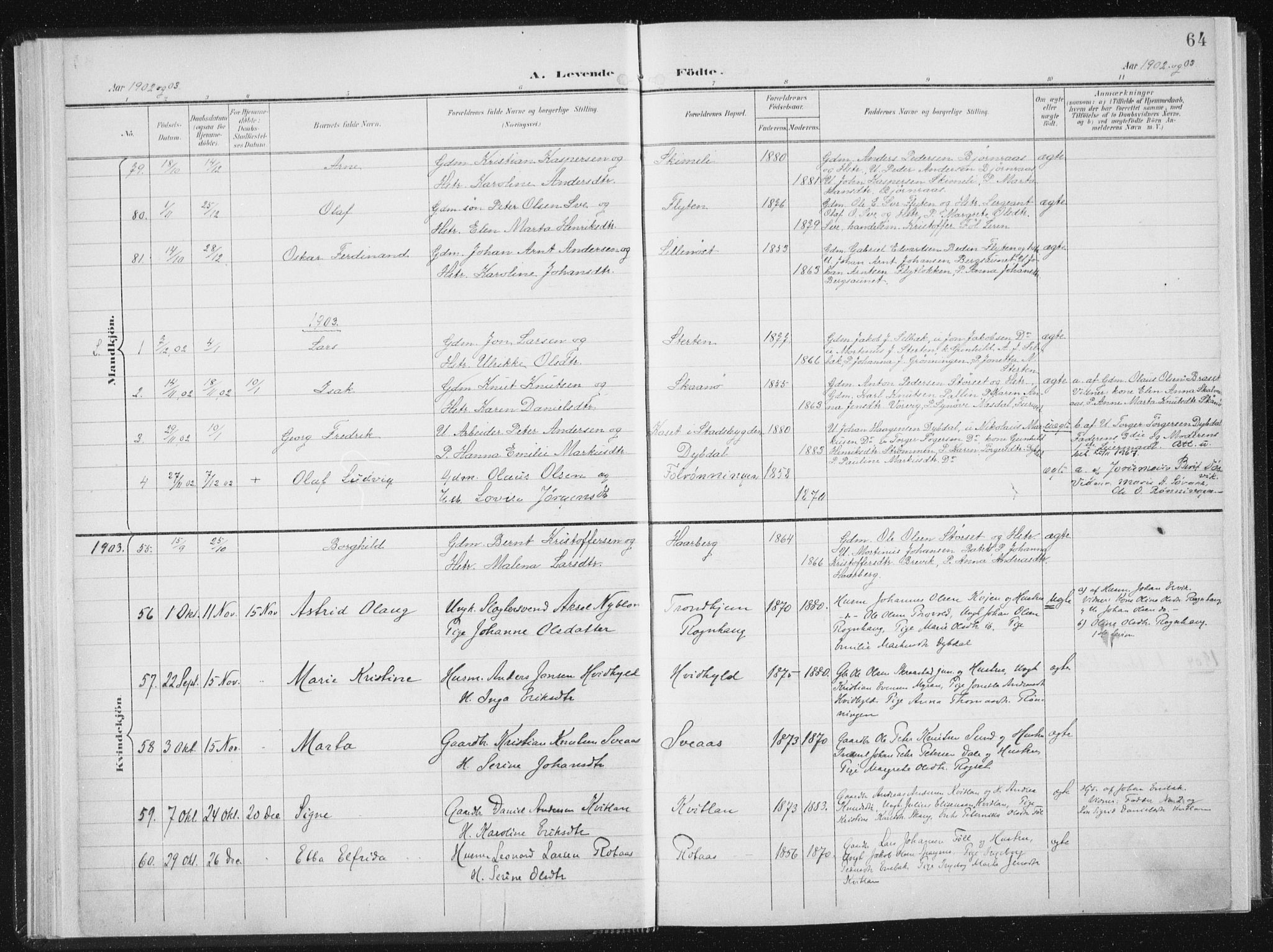 Ministerialprotokoller, klokkerbøker og fødselsregistre - Sør-Trøndelag, SAT/A-1456/647/L0635: Parish register (official) no. 647A02, 1896-1911, p. 64