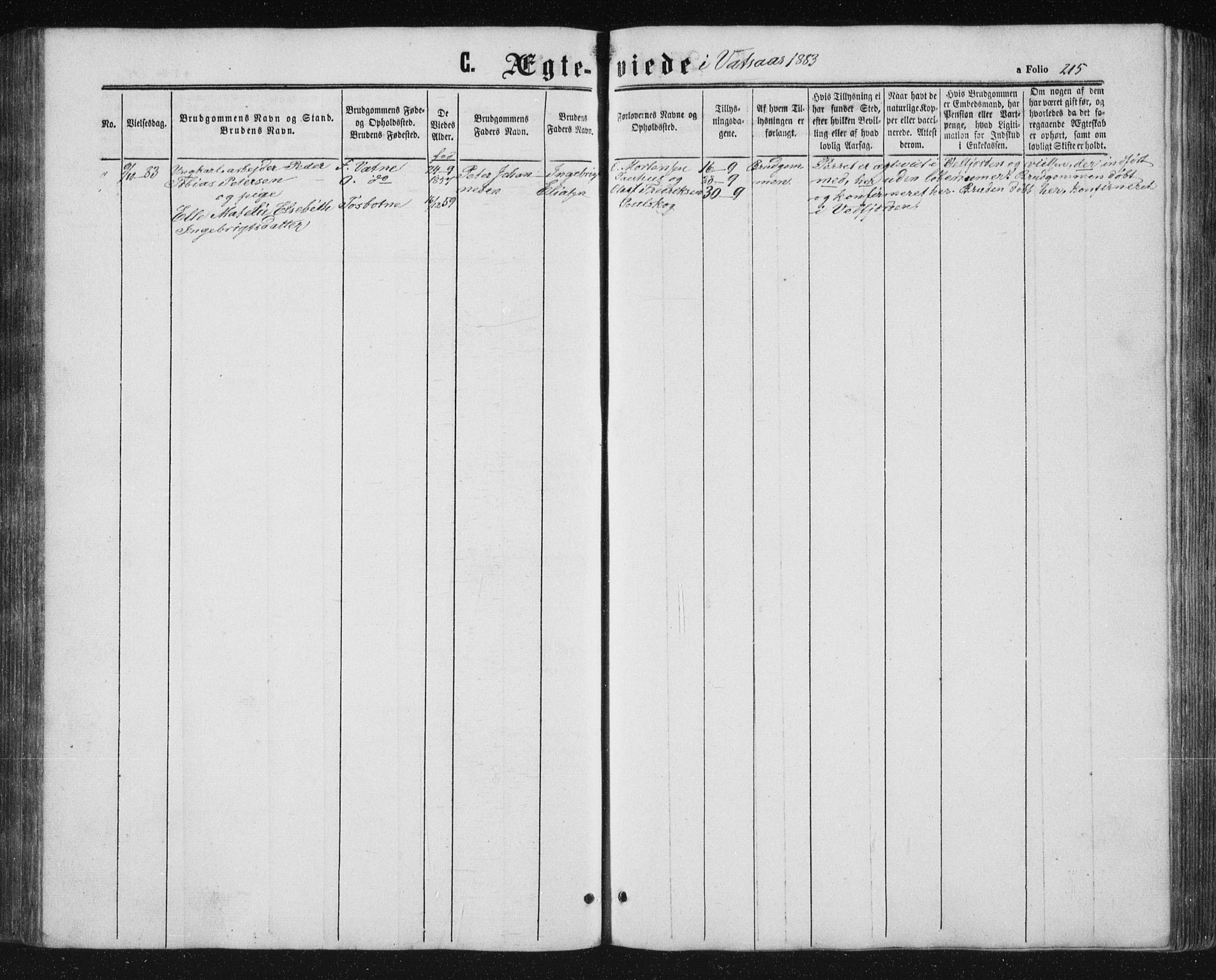 Ministerialprotokoller, klokkerbøker og fødselsregistre - Nordland, AV/SAT-A-1459/810/L0158: Parish register (copy) no. 810C02 /1, 1863-1883, p. 215