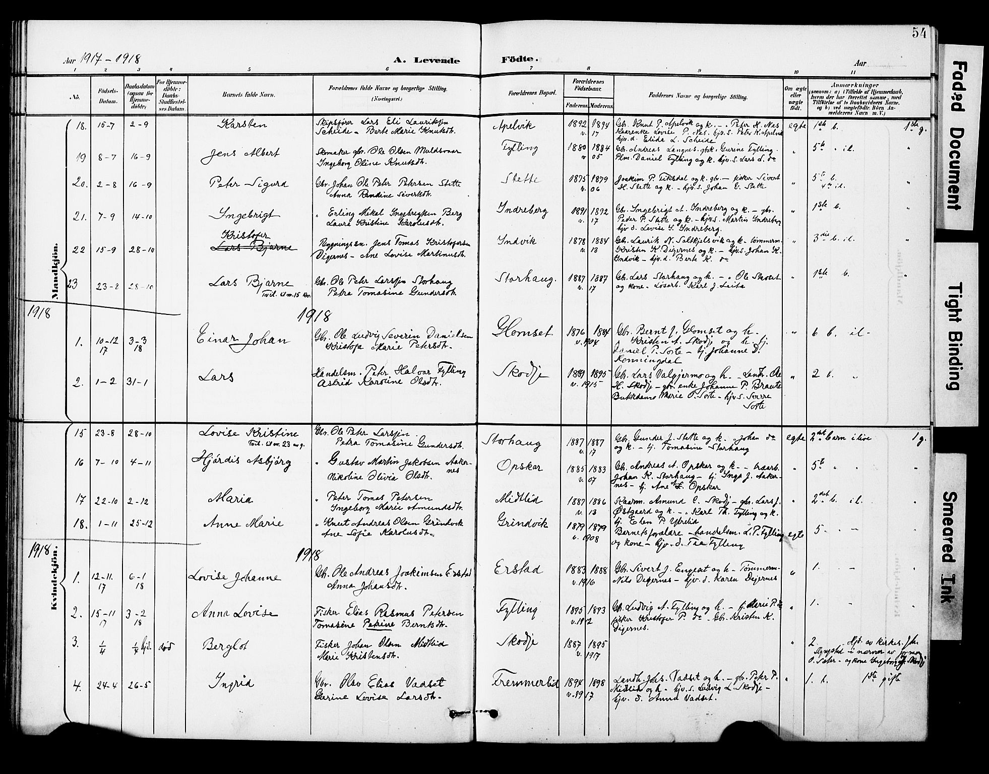 Ministerialprotokoller, klokkerbøker og fødselsregistre - Møre og Romsdal, AV/SAT-A-1454/524/L0366: Parish register (copy) no. 524C07, 1900-1931, p. 54