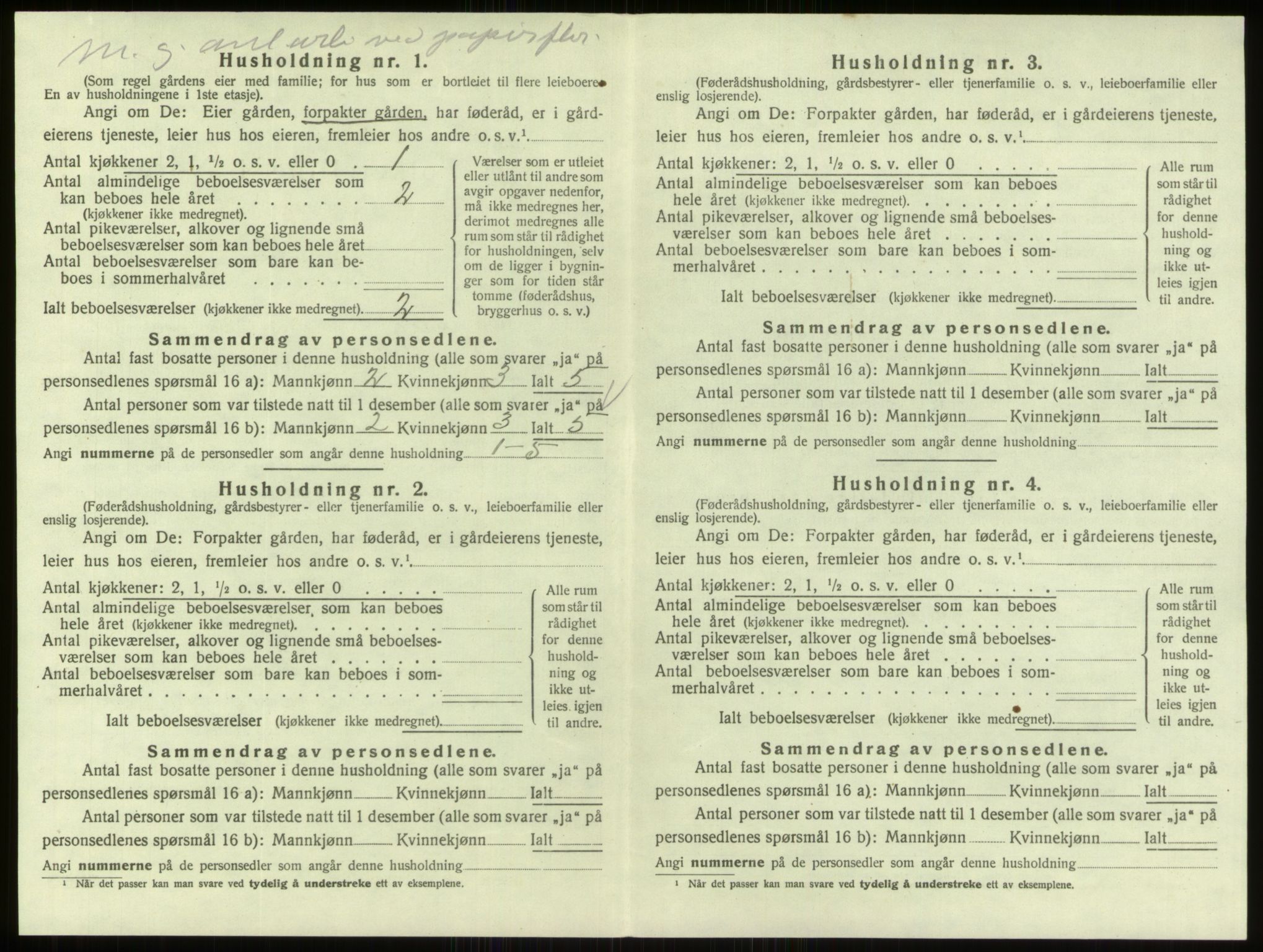 SAO, 1920 census for Skjeberg, 1920, p. 1985