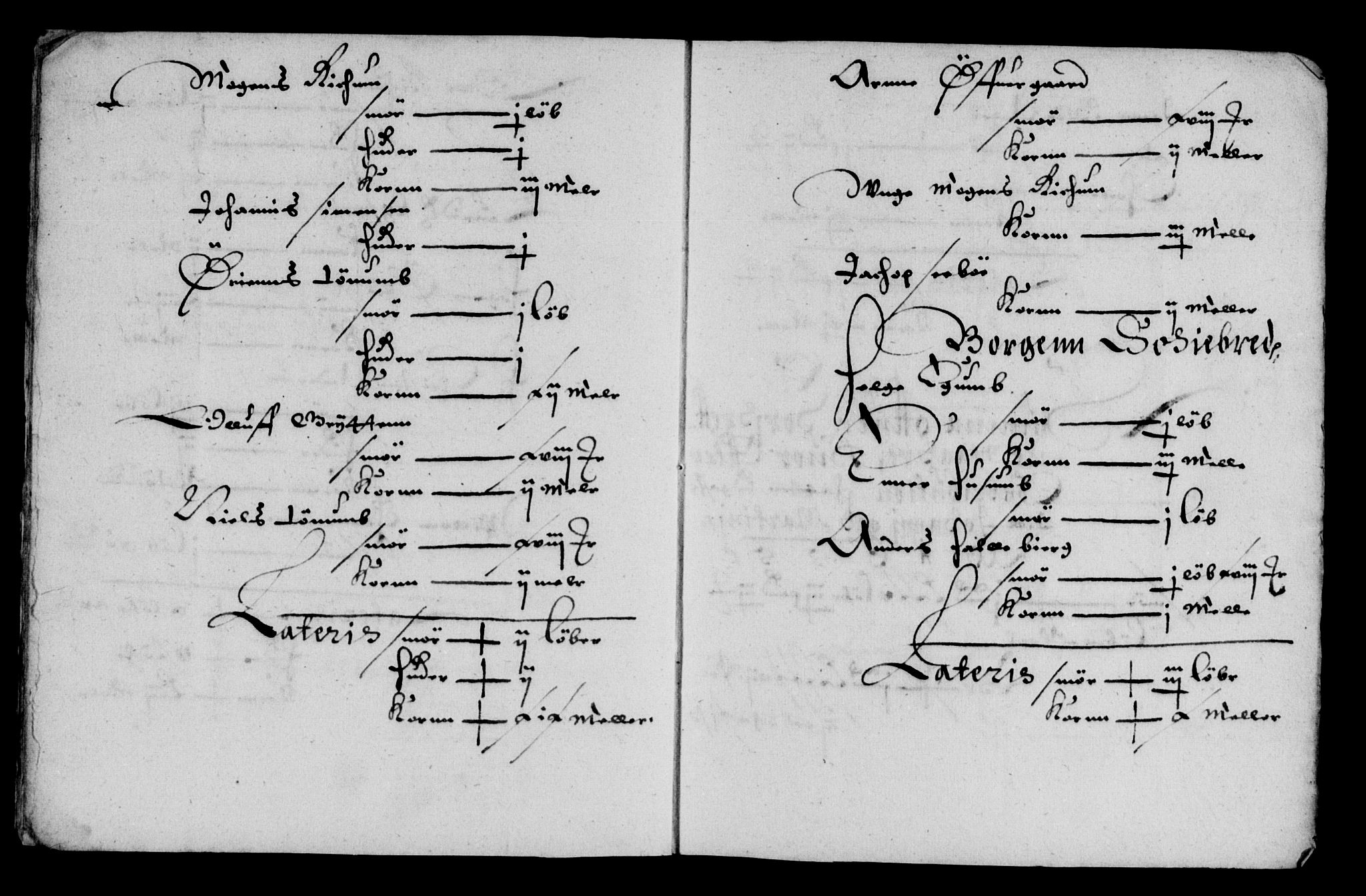 Rentekammeret inntil 1814, Reviderte regnskaper, Lensregnskaper, AV/RA-EA-5023/R/Rb/Rbt/L0133: Bergenhus len, 1655-1657