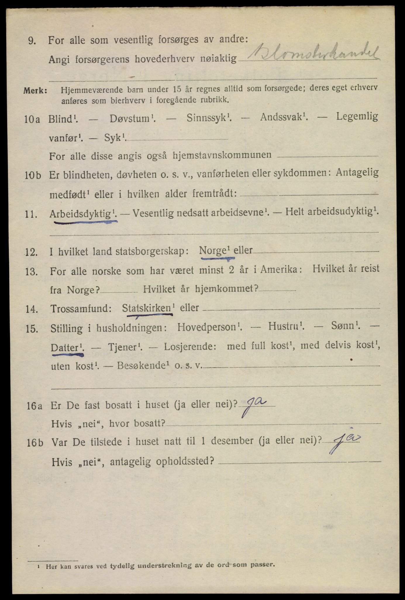 SAKO, 1920 census for Horten, 1920, p. 17546