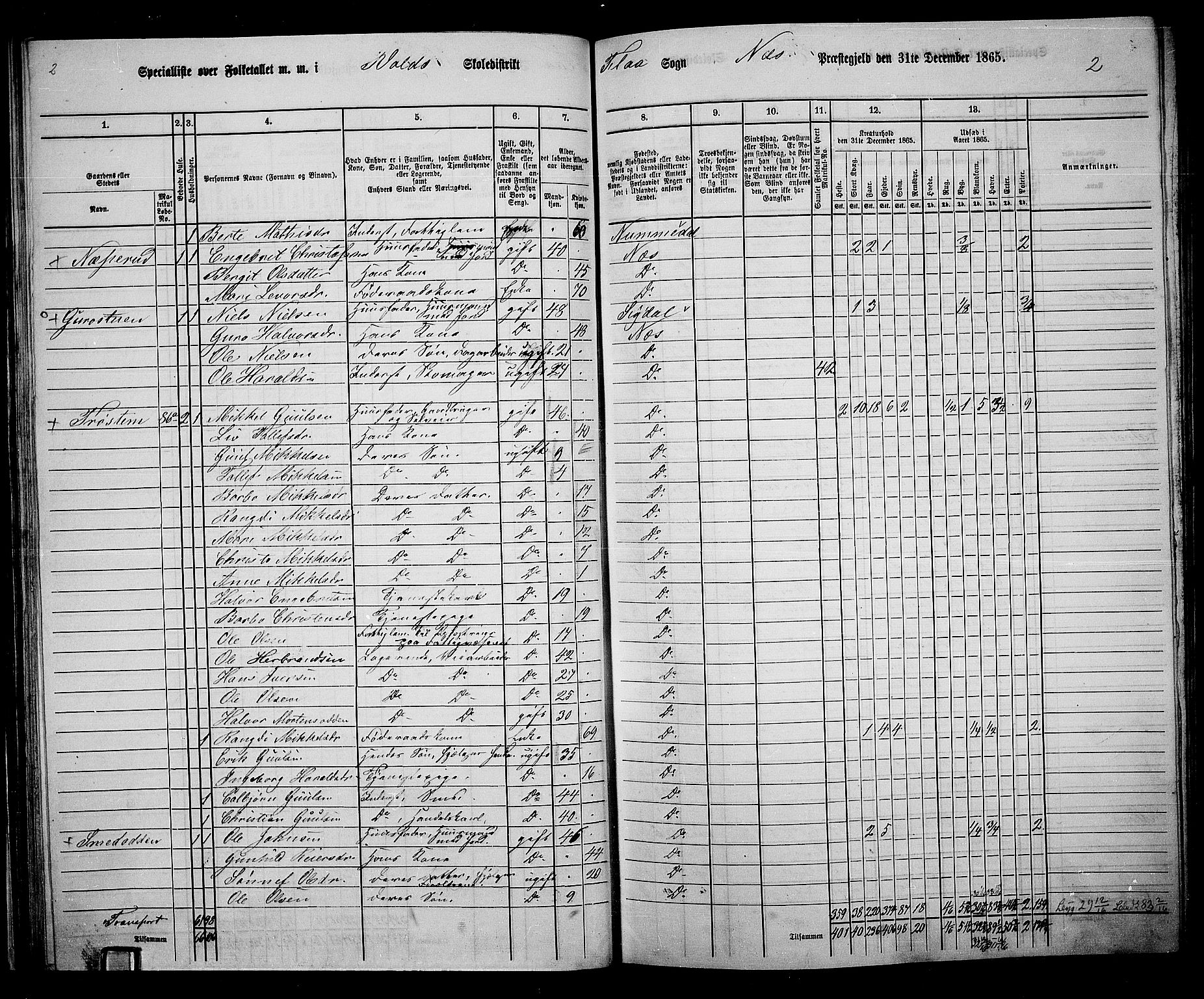 RA, 1865 census for Nes, 1865, p. 58