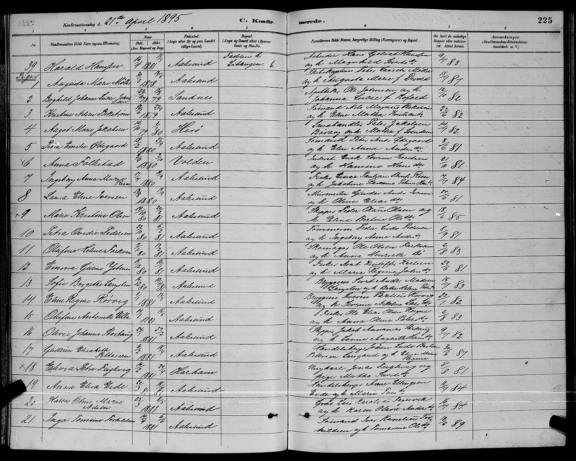 Ministerialprotokoller, klokkerbøker og fødselsregistre - Møre og Romsdal, AV/SAT-A-1454/529/L0467: Parish register (copy) no. 529C04, 1889-1897, p. 225