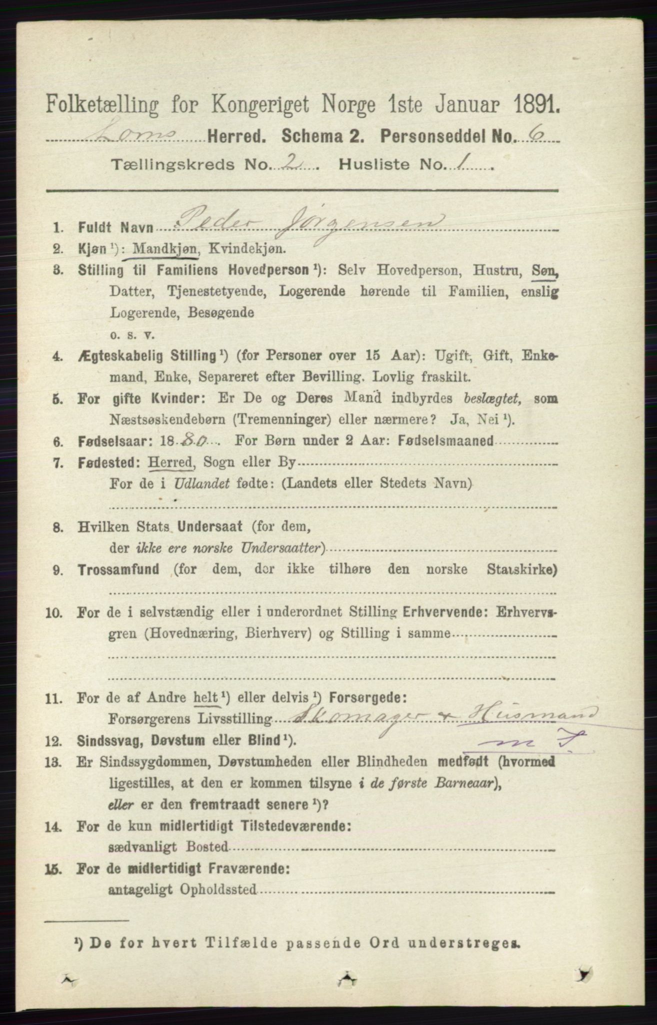 RA, 1891 census for 0514 Lom, 1891, p. 790