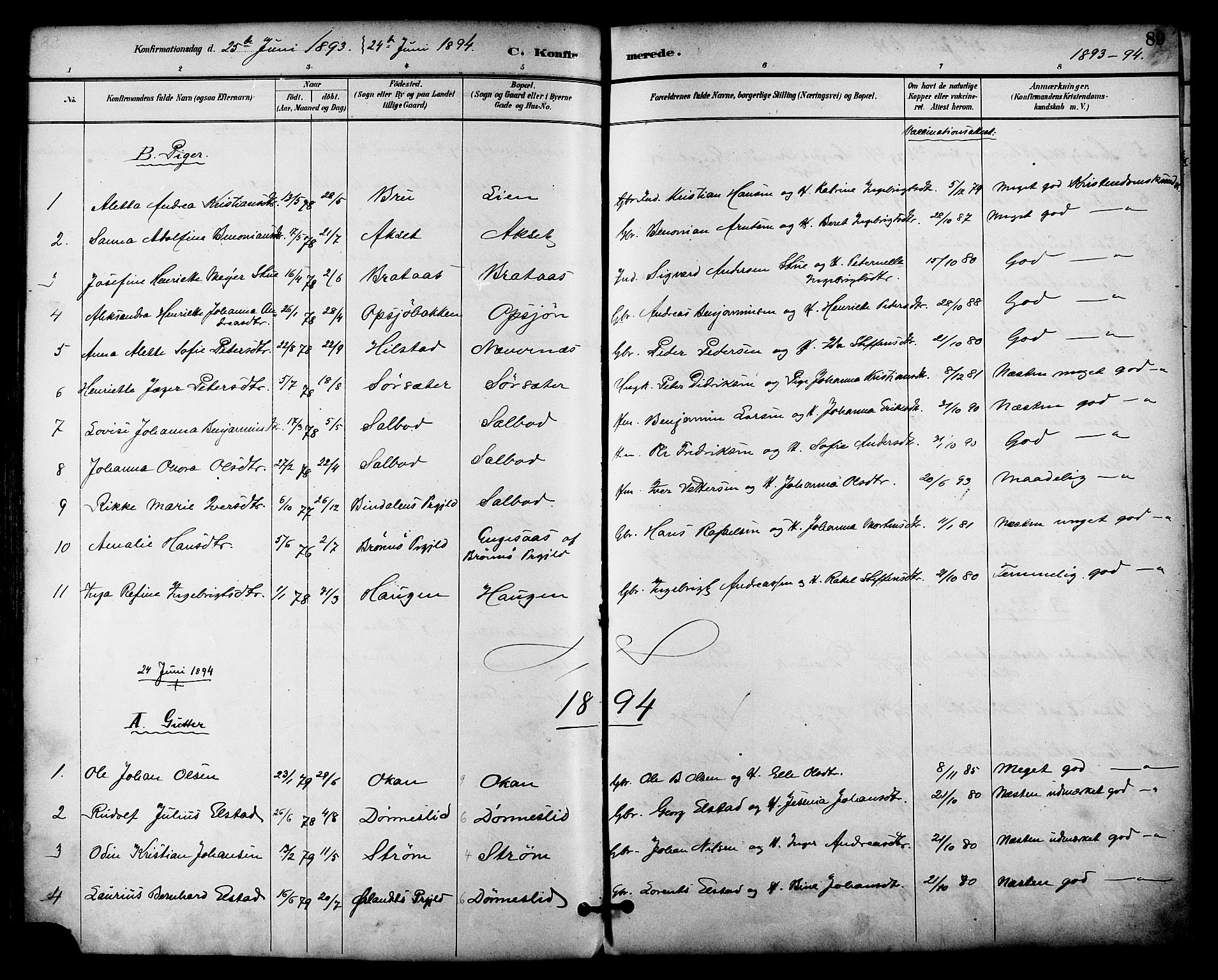 Ministerialprotokoller, klokkerbøker og fødselsregistre - Nordland, AV/SAT-A-1459/814/L0226: Parish register (official) no. 814A07, 1886-1898, p. 89