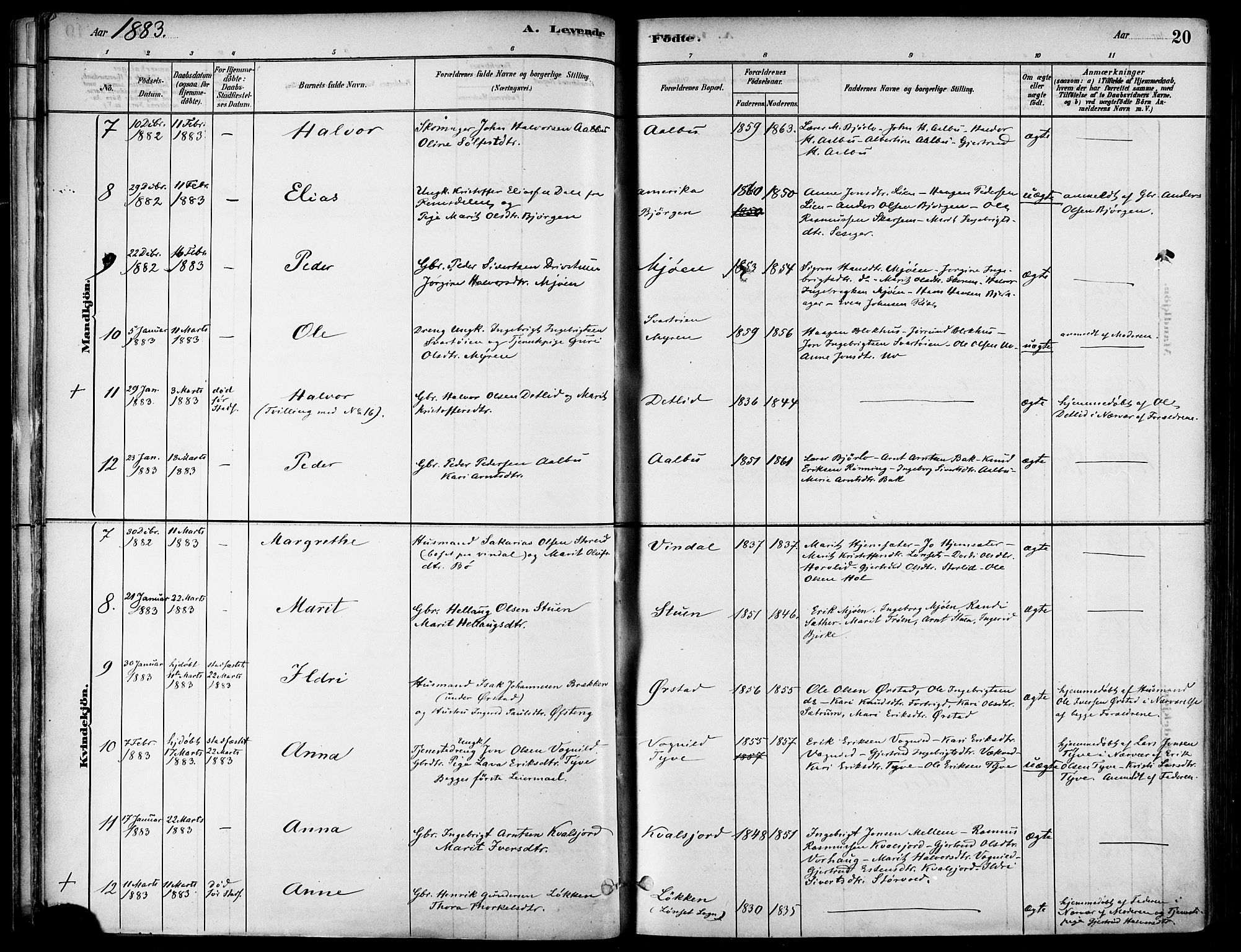 Ministerialprotokoller, klokkerbøker og fødselsregistre - Sør-Trøndelag, SAT/A-1456/678/L0901: Parish register (official) no. 678A10, 1881-1894, p. 20