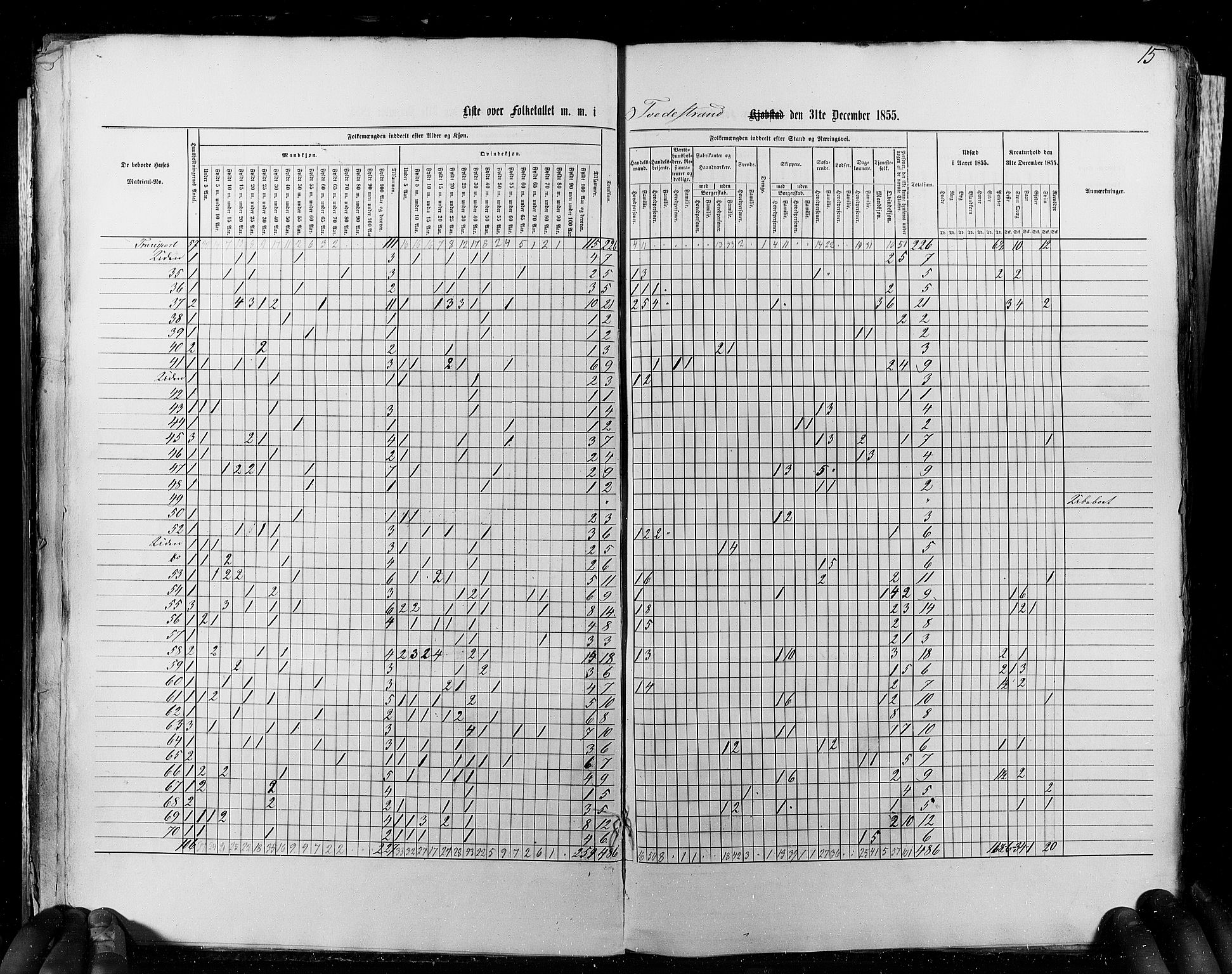 RA, Census 1855, vol. 8: Risør-Vadsø, 1855, p. 15