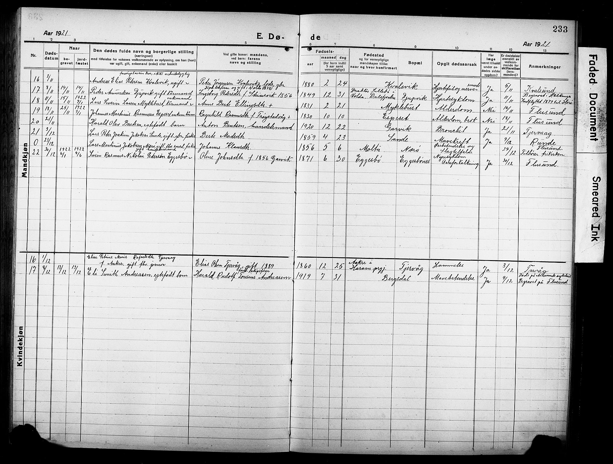 Ministerialprotokoller, klokkerbøker og fødselsregistre - Møre og Romsdal, AV/SAT-A-1454/507/L0084: Parish register (copy) no. 507C07, 1919-1932, p. 233