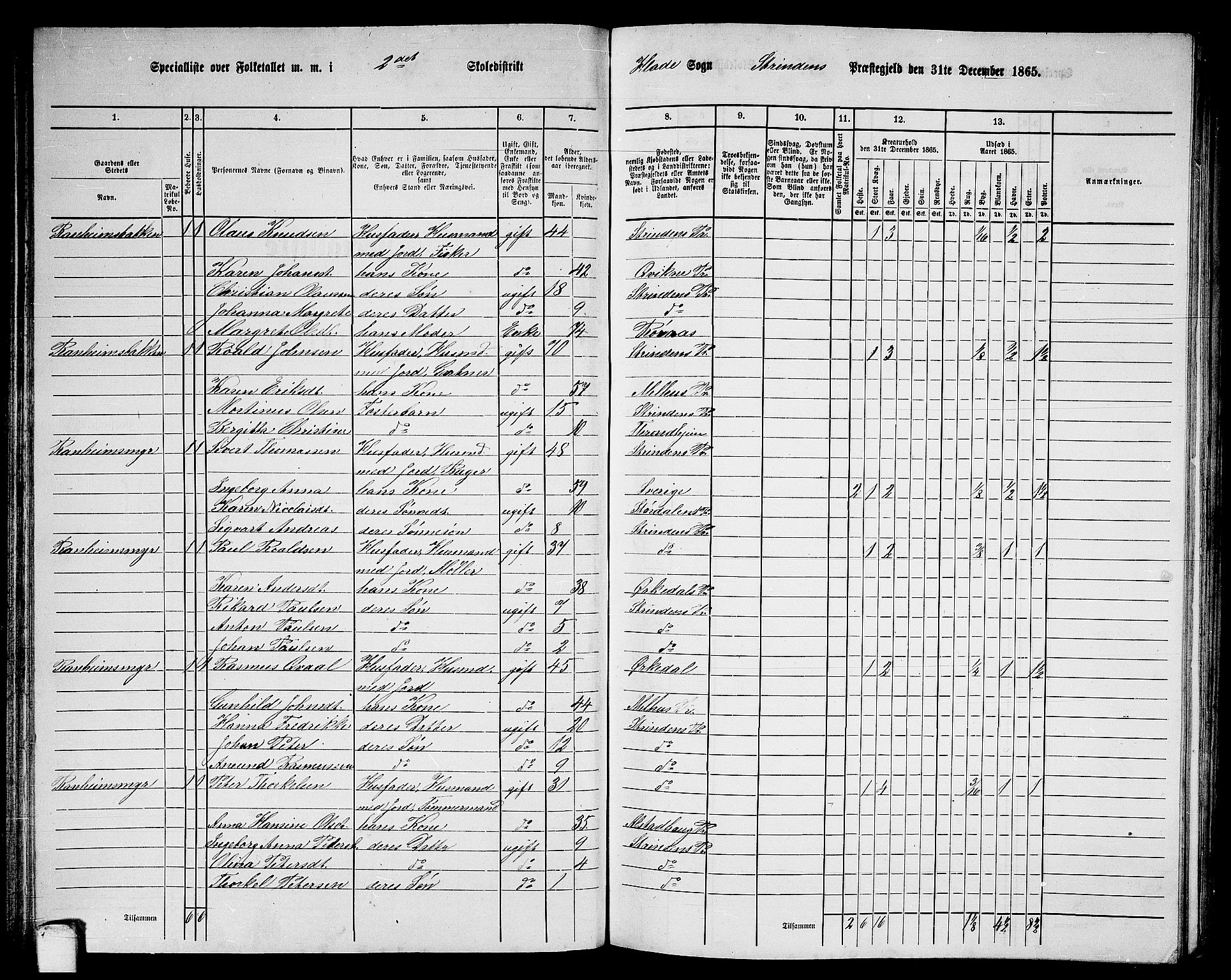 RA, 1865 census for Strinda, 1865, p. 60