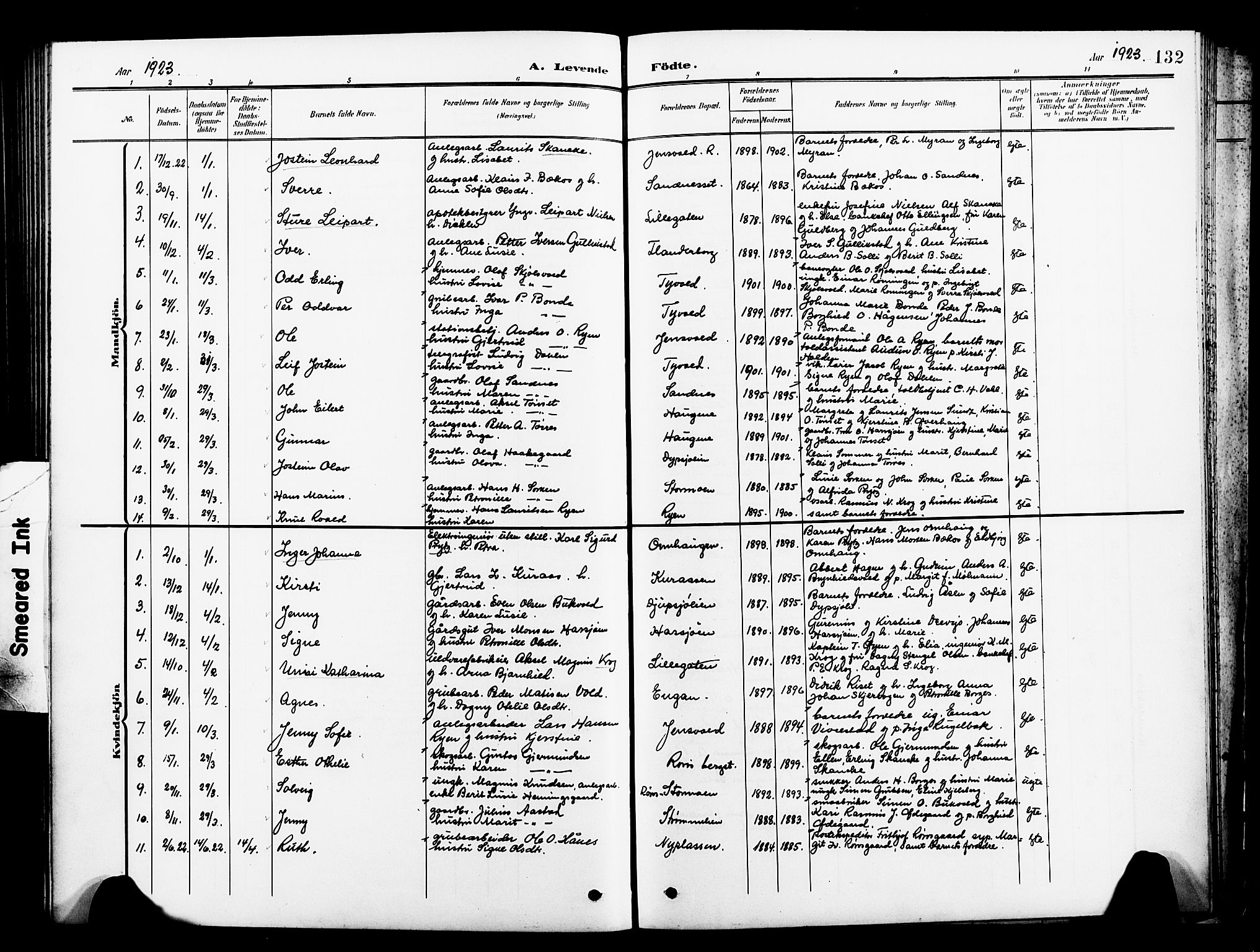 Ministerialprotokoller, klokkerbøker og fødselsregistre - Sør-Trøndelag, AV/SAT-A-1456/681/L0942: Parish register (copy) no. 681C06, 1906-1925, p. 132