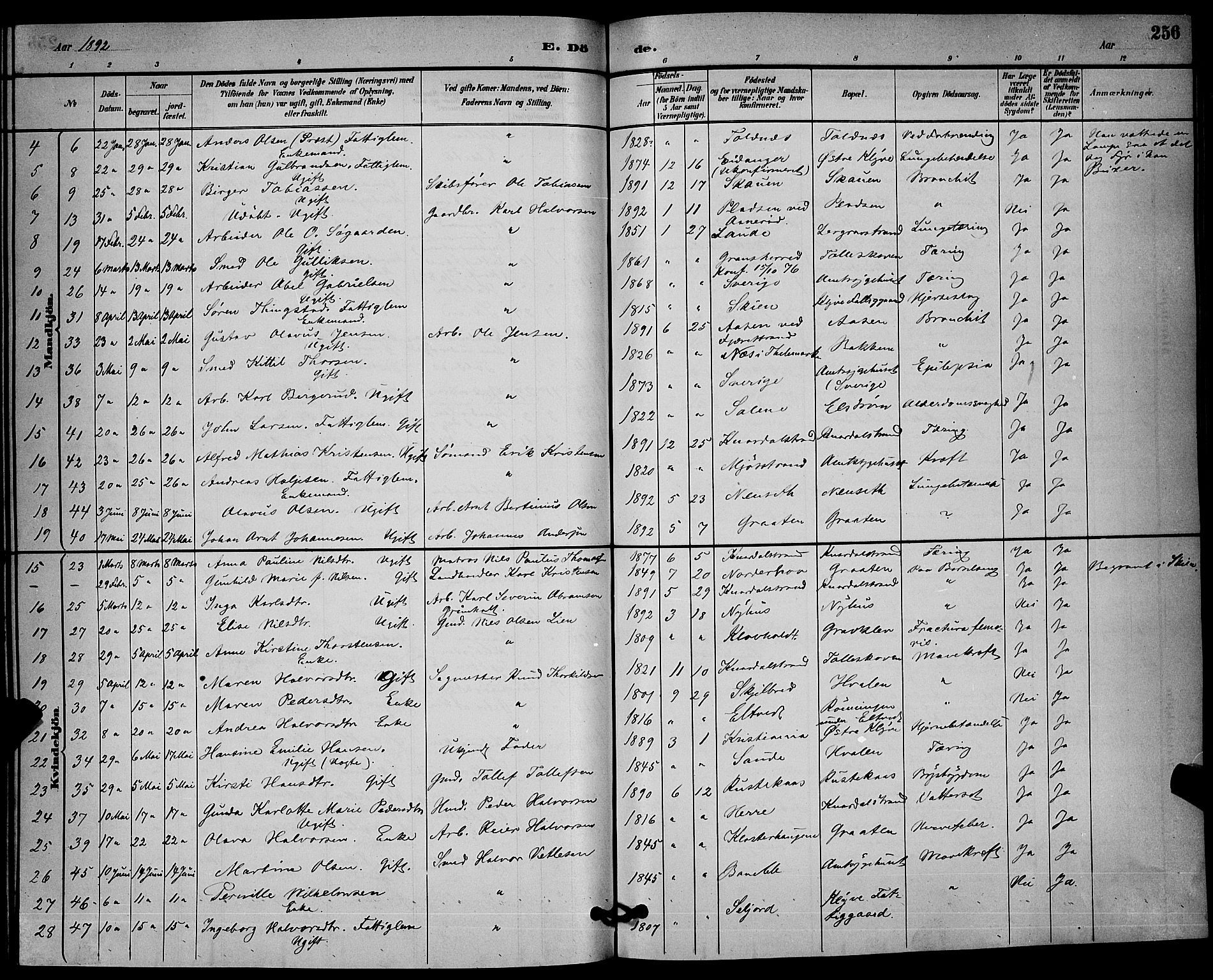 Solum kirkebøker, SAKO/A-306/G/Ga/L0007: Parish register (copy) no. I 7, 1884-1898, p. 256
