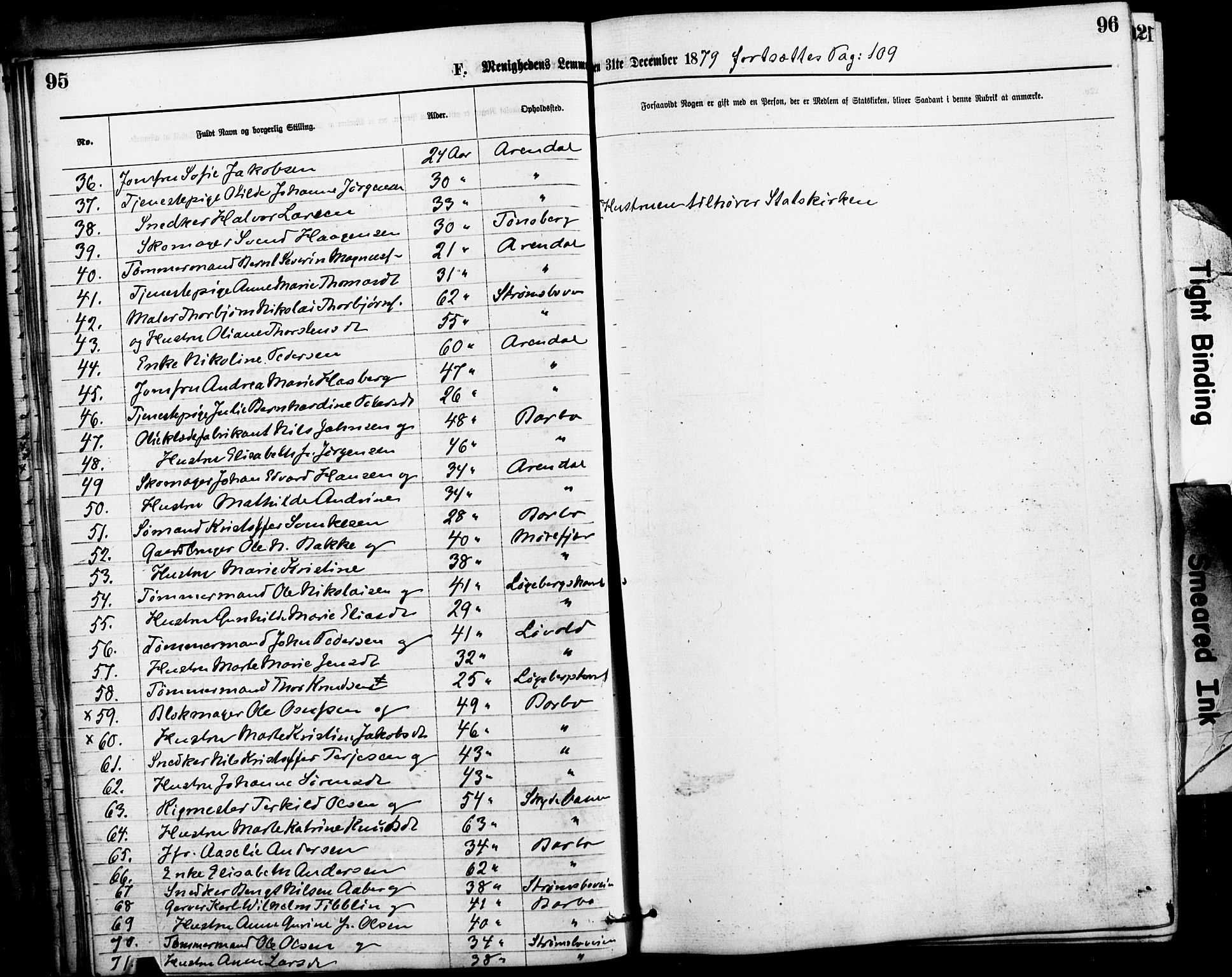 Den evangelisk-lutherske frimenighet, Arendal, AV/SAK-1292-0005/F/Fa/L0001: Dissenter register no. F 5, 1877-1883, p. 95-96