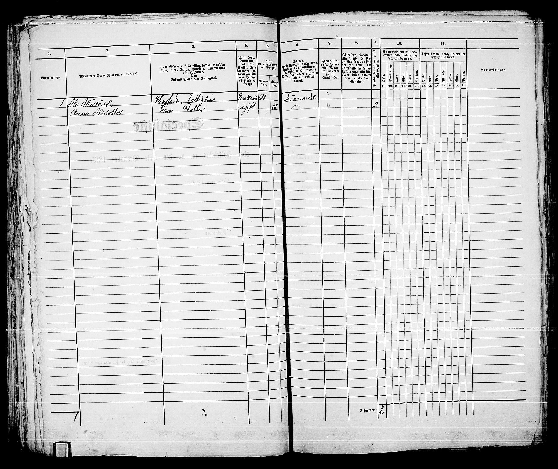 RA, 1865 census for Kongsberg/Kongsberg, 1865, p. 1109