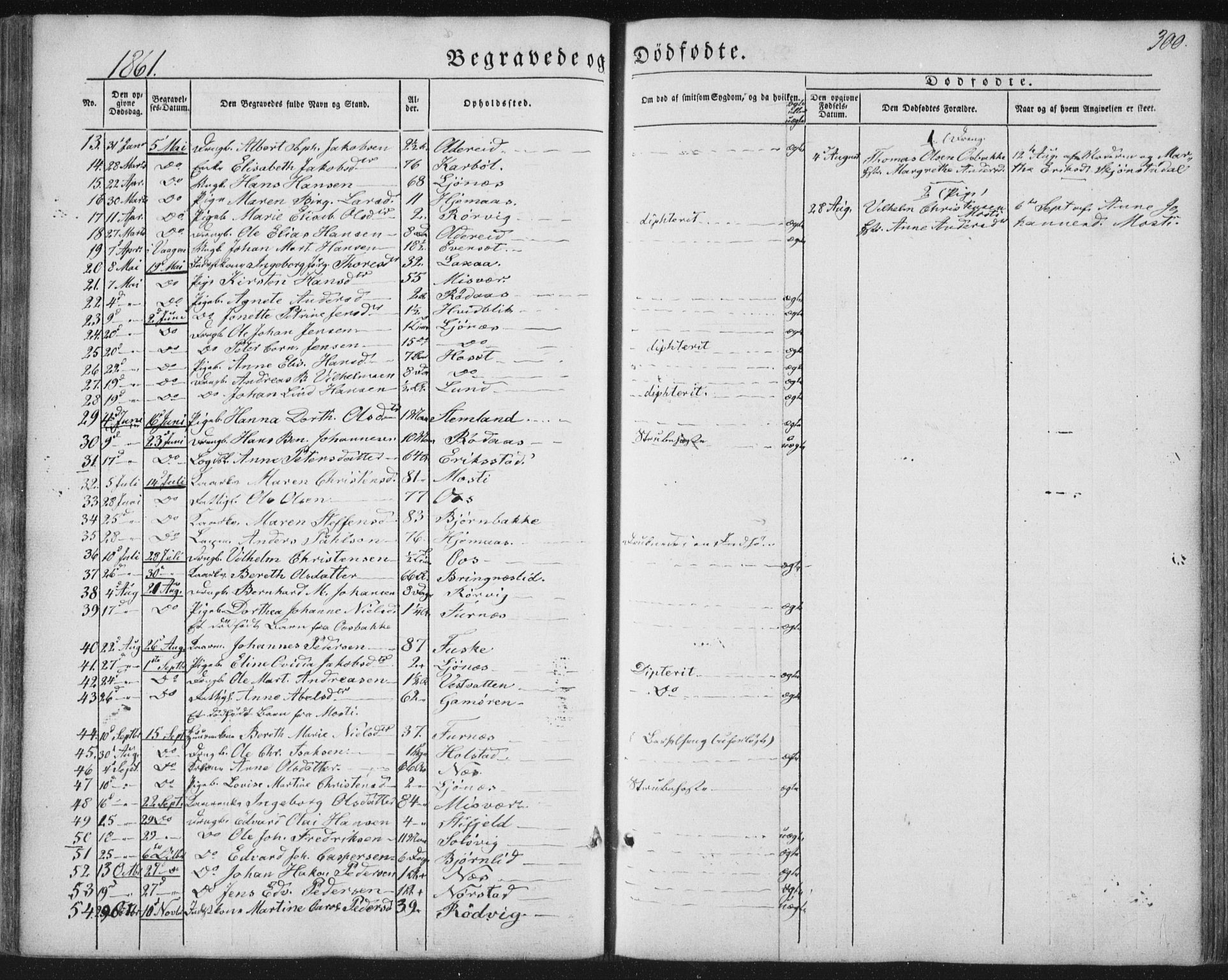 Ministerialprotokoller, klokkerbøker og fødselsregistre - Nordland, AV/SAT-A-1459/852/L0738: Parish register (official) no. 852A08, 1849-1865, p. 300