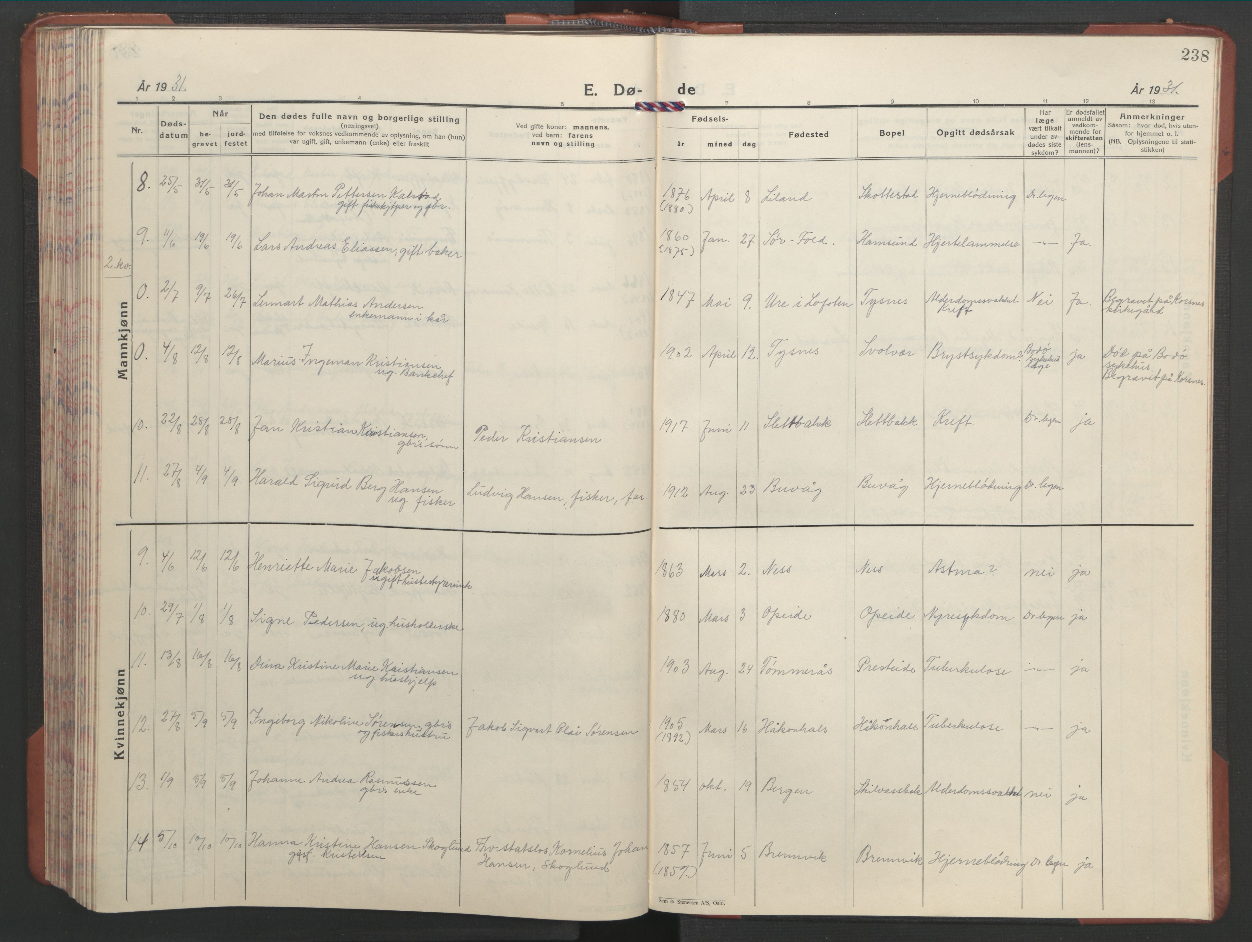 Ministerialprotokoller, klokkerbøker og fødselsregistre - Nordland, AV/SAT-A-1459/859/L0862: Parish register (copy) no. 859C08, 1925-1936, p. 238