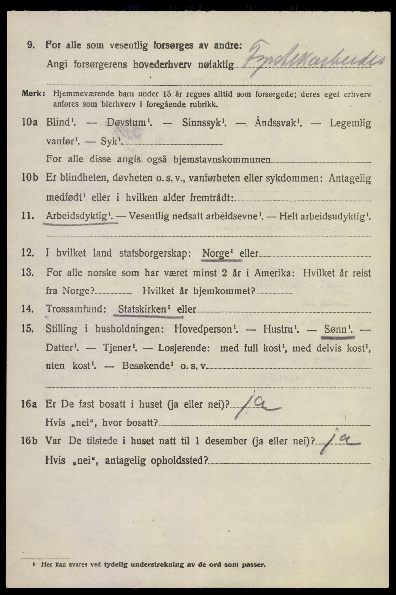 SAKO, 1920 census for Brunlanes, 1920, p. 6086