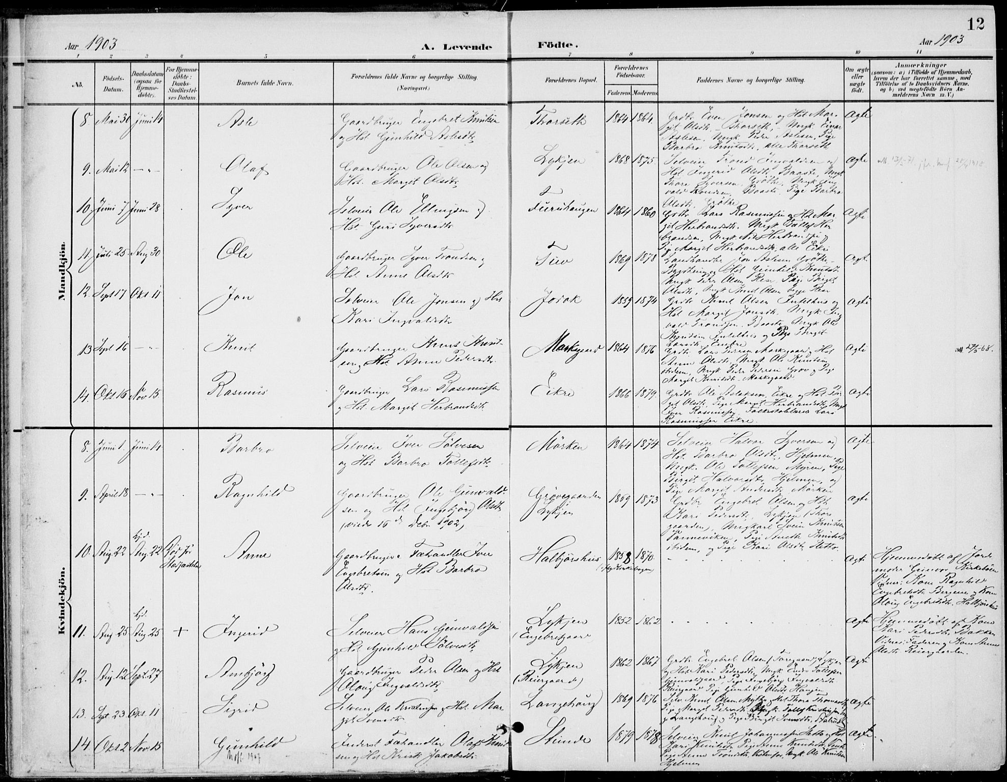 Gol kirkebøker, AV/SAKO-A-226/F/Fb/L0002: Parish register (official) no. II 2, 1900-1921, p. 12