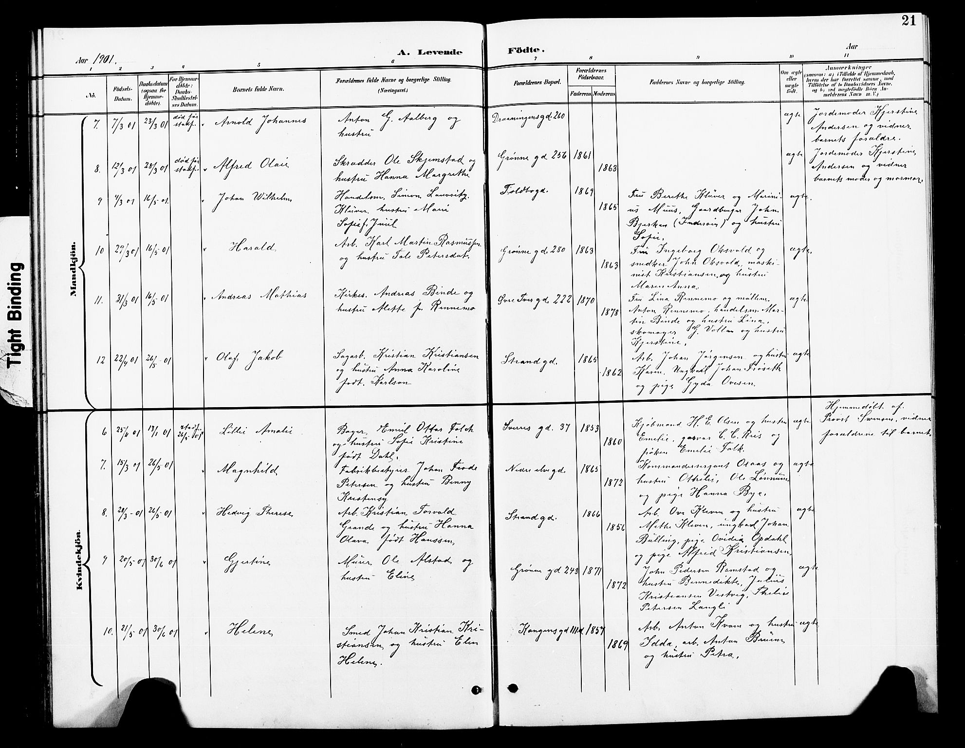 Ministerialprotokoller, klokkerbøker og fødselsregistre - Nord-Trøndelag, AV/SAT-A-1458/739/L0375: Parish register (copy) no. 739C03, 1898-1908, p. 21