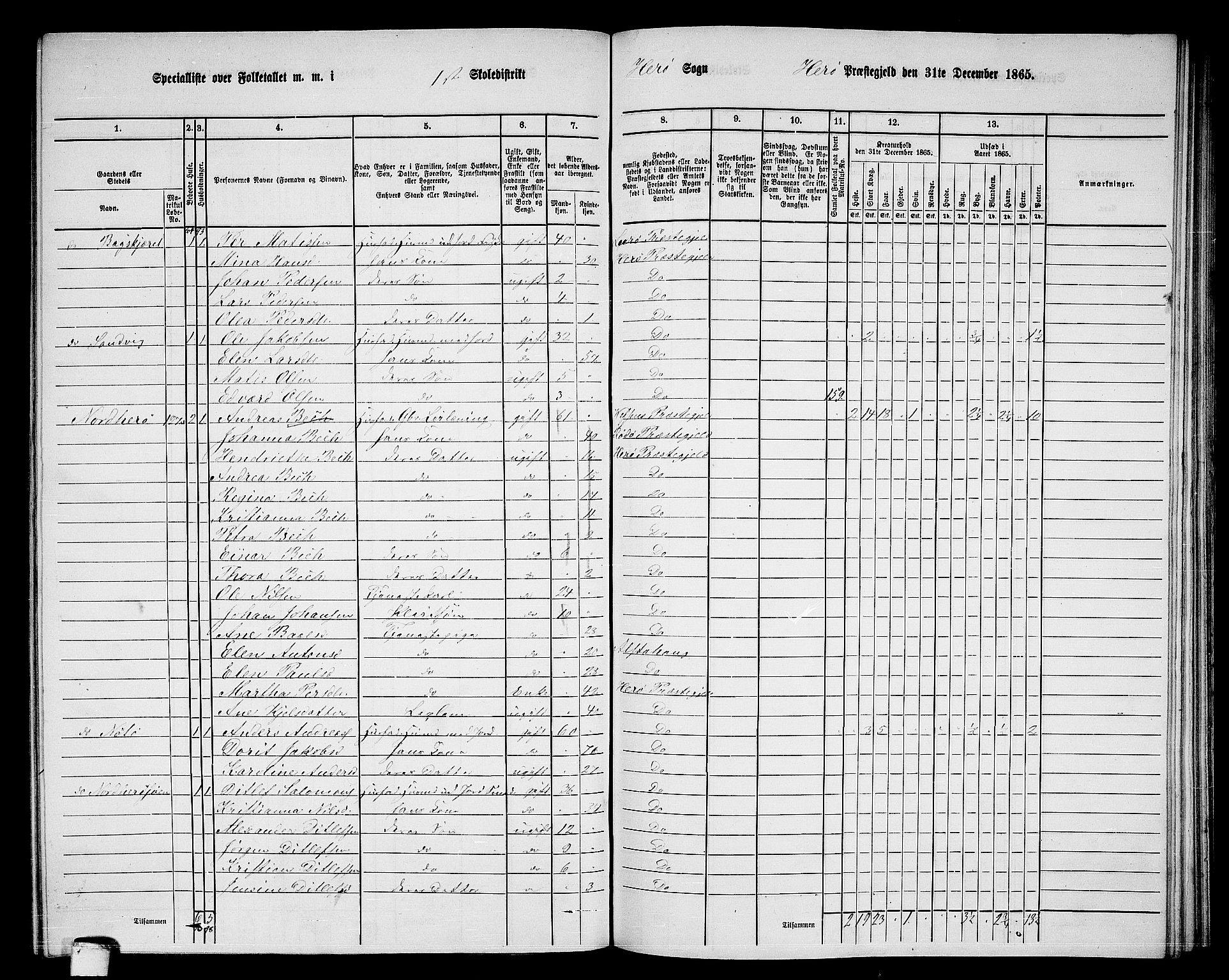 RA, 1865 census for Herøy, 1865, p. 22